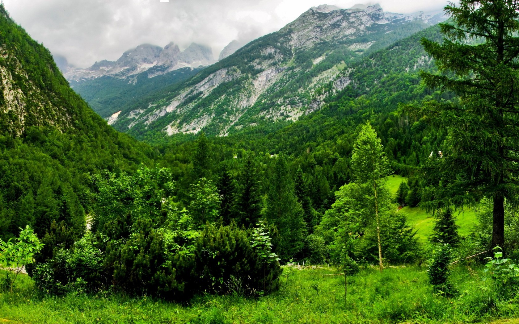 Green Mountain Wallpaper APK for Android Download