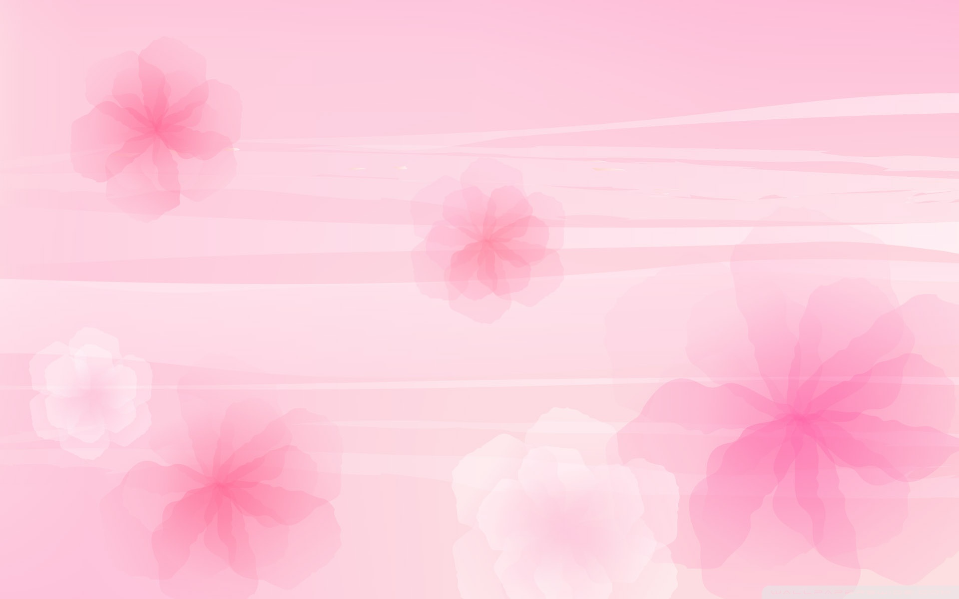 Pink Background Designs HD wallpaper