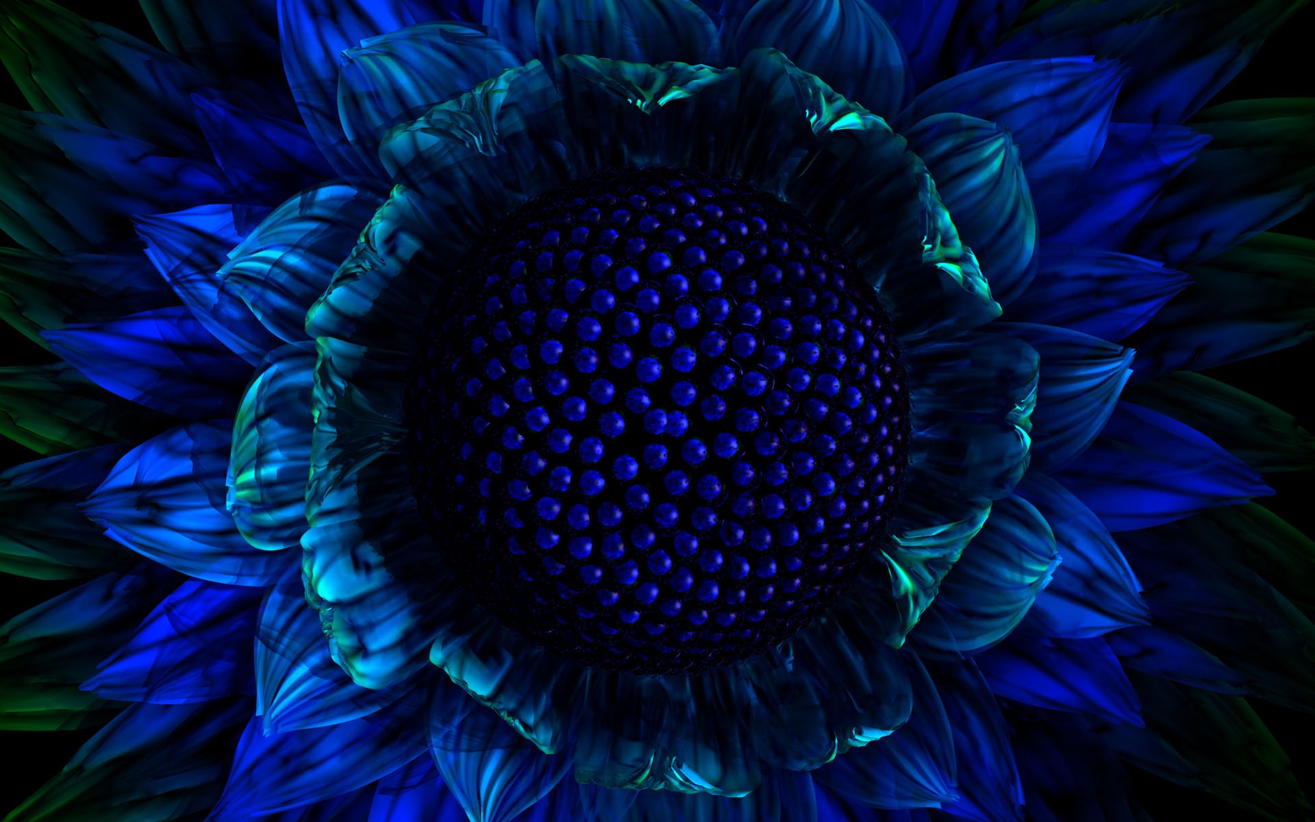 Blue Sunflower HD wallpaper