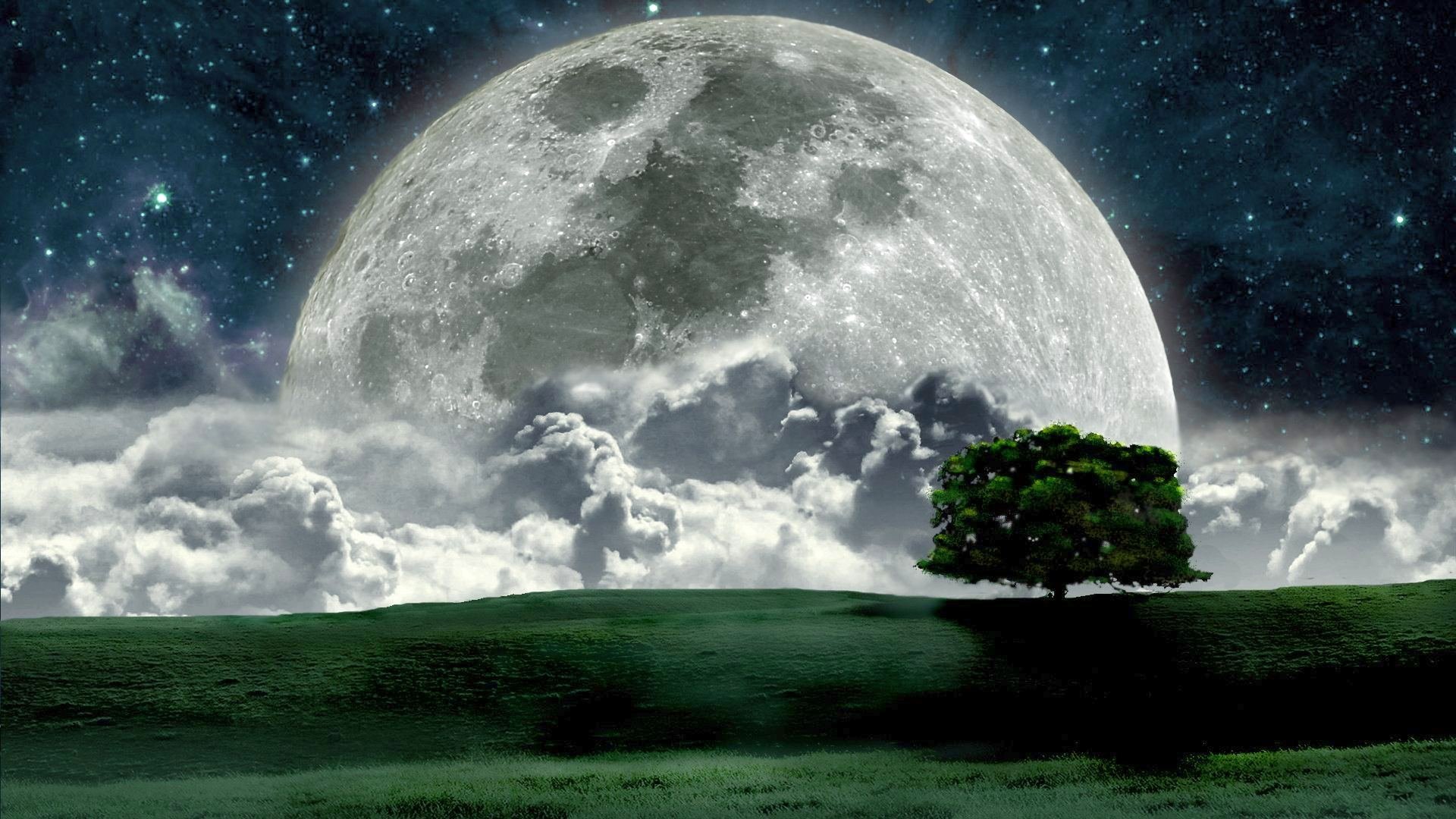 Full Moon in Night HD wallpaper