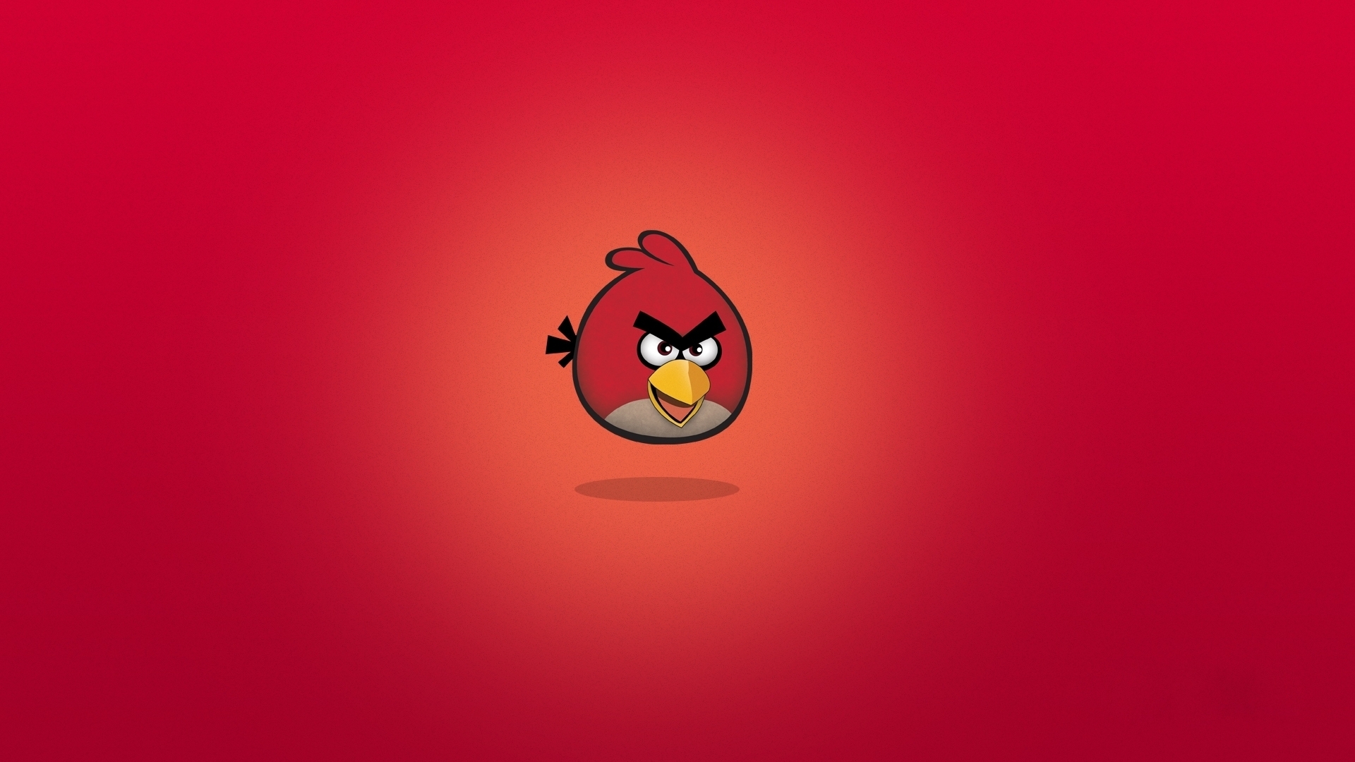 red-angry-bird-hd-wallpaper