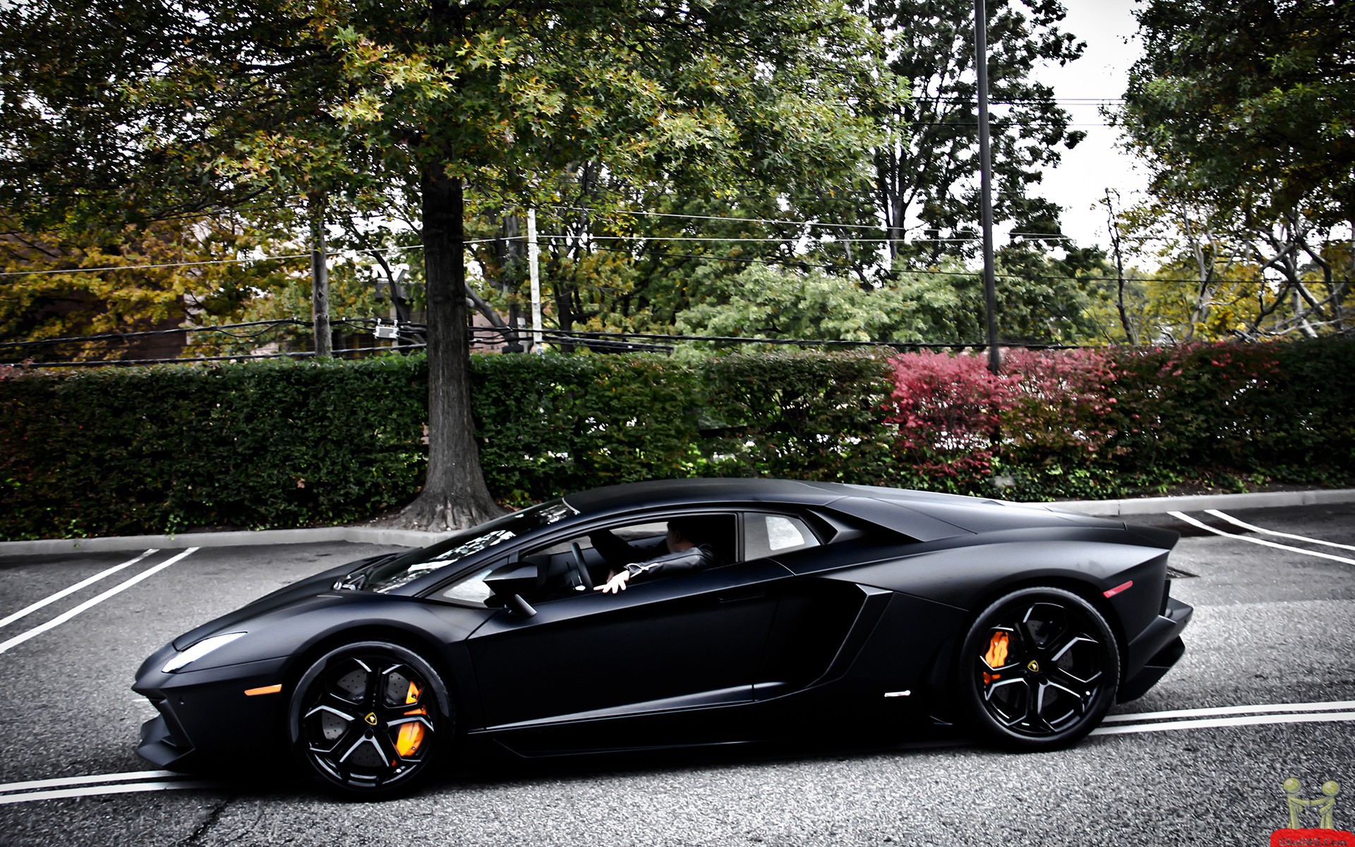 Luxury Car Lamborghini Tron Aventador Black HD Wallpaper  HD Wallpapers