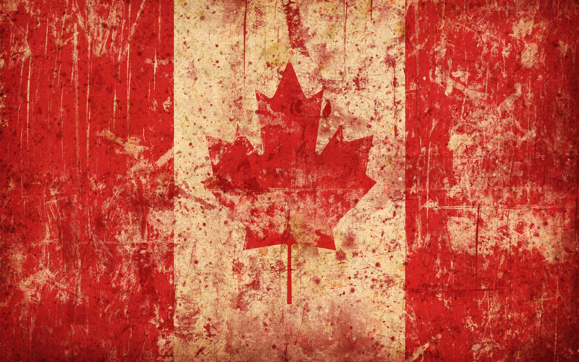 Canada Flag Photos Download The BEST Free Canada Flag Stock Photos  HD  Images