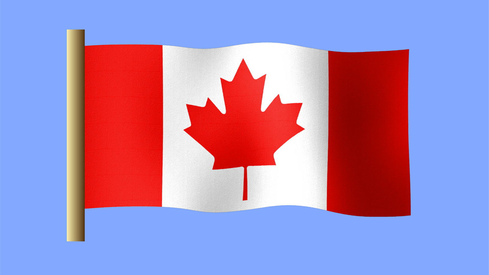 25000 Canadian Flag Stock Photos Pictures  RoyaltyFree Images  iStock   Canada American flag Canada day