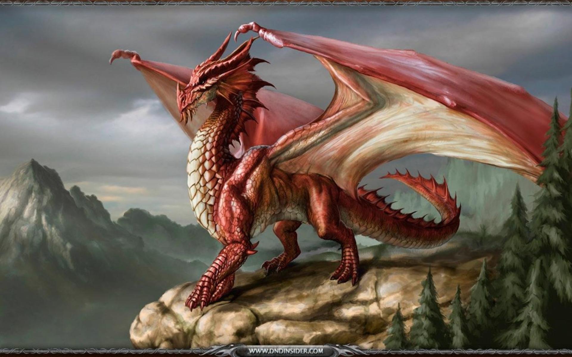 red, Dragon |