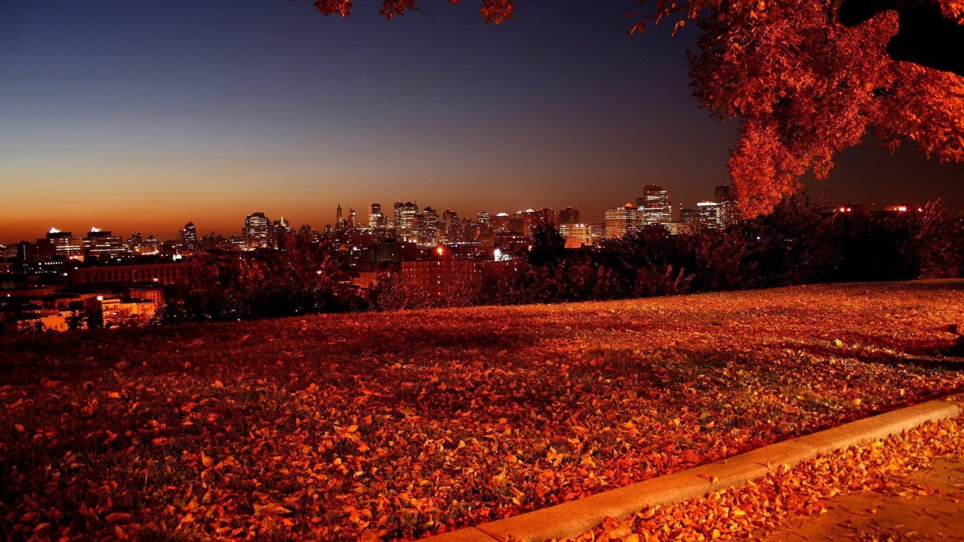 Autumn In The City HD wallpaper