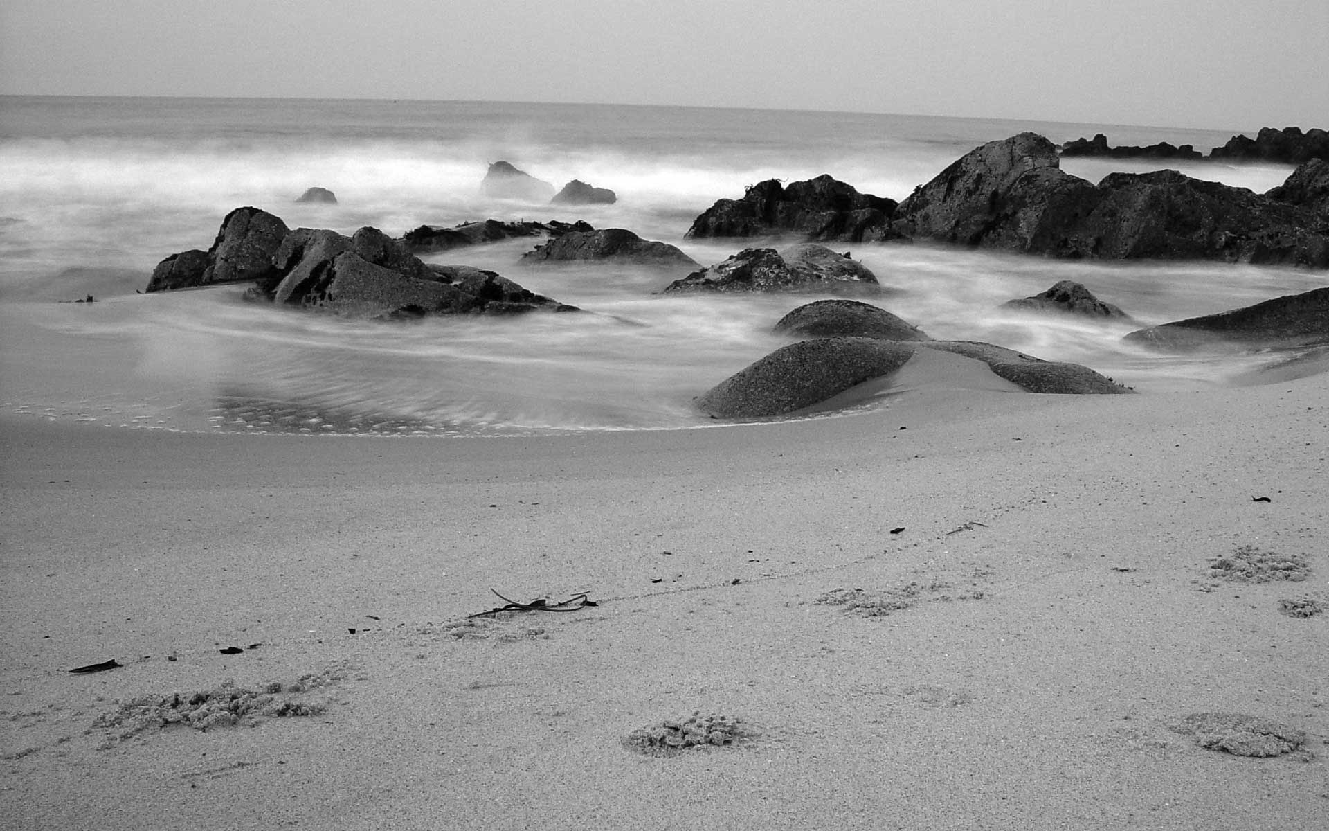 black and white beach background