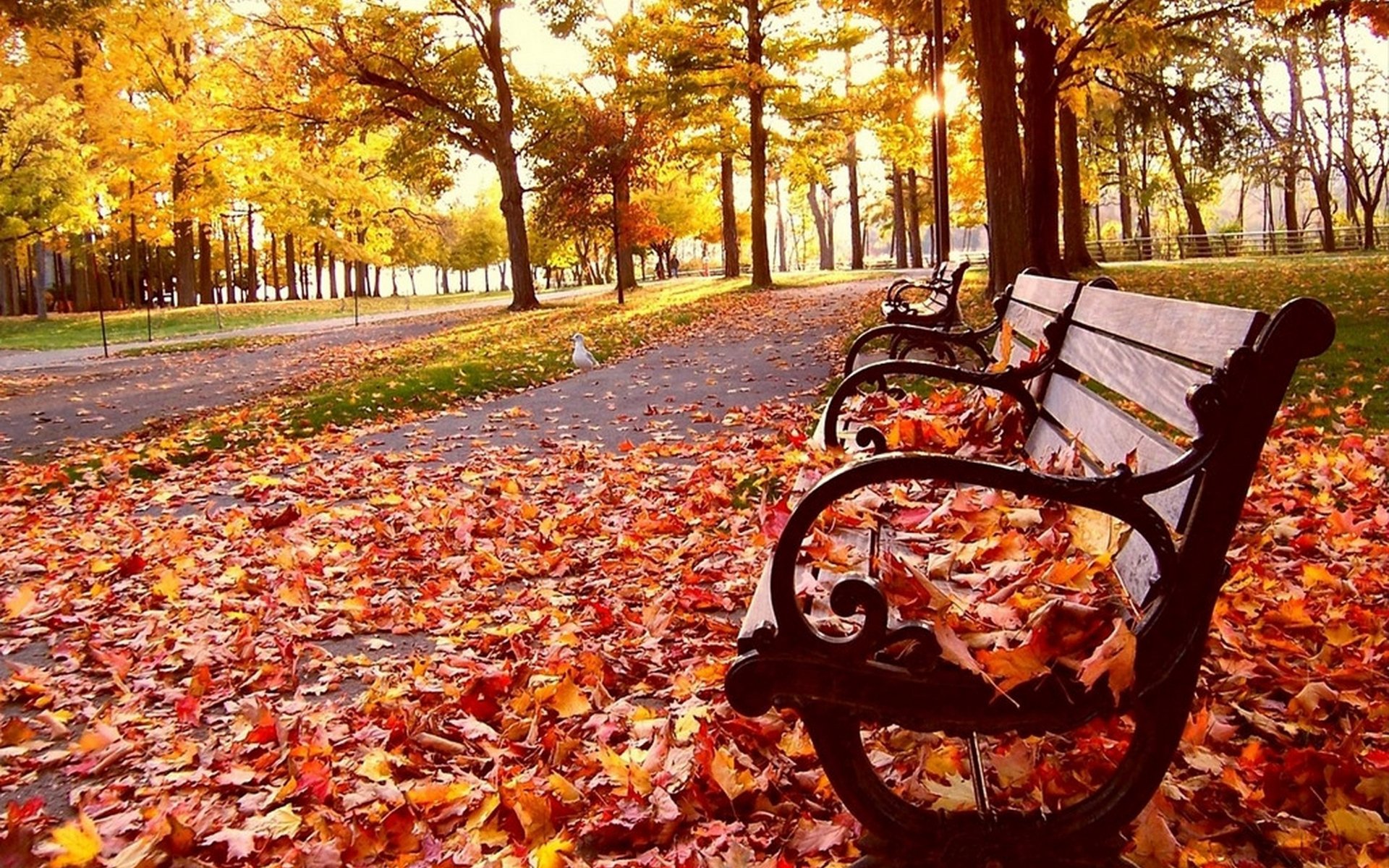 Autumn Season HD wallpaper