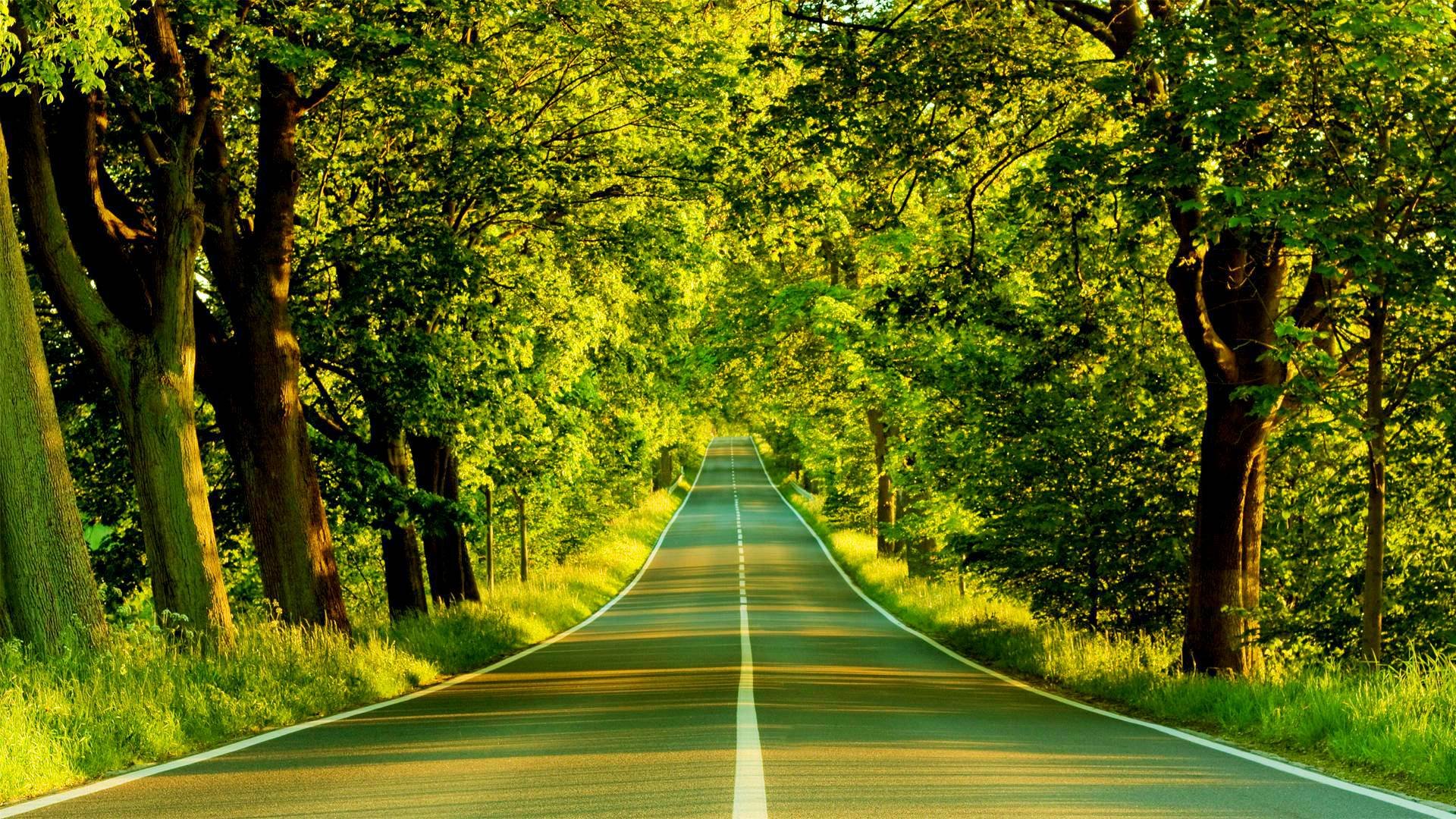 Awesome Green Road HD wallpaper