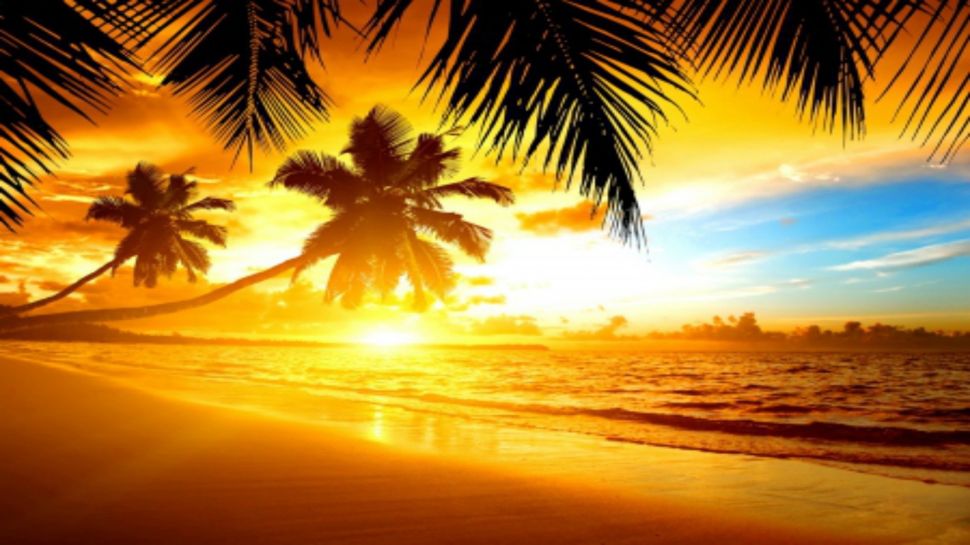 Tropical Beach Sunrise HD wallpaper