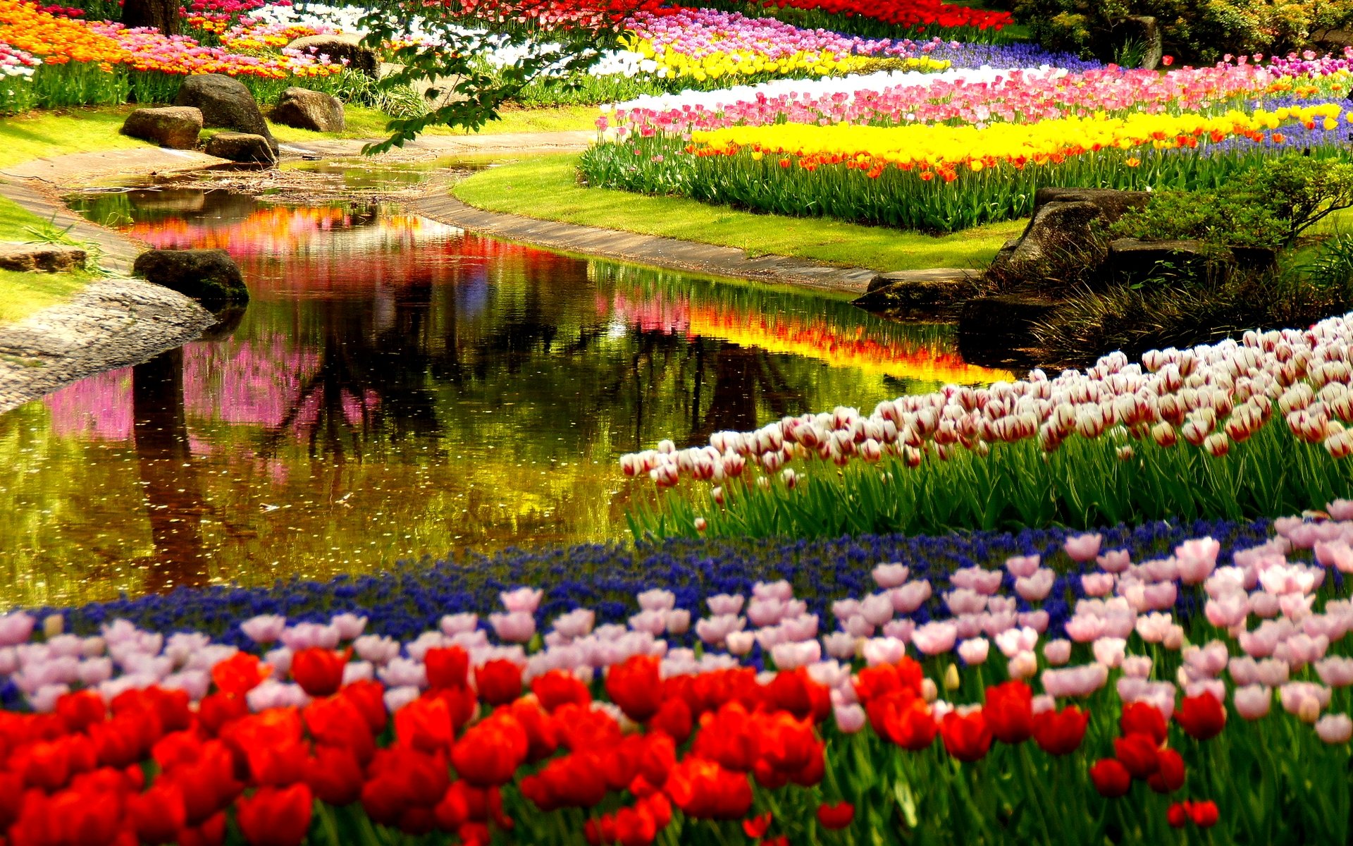 Beautiful Flower Garden HD wallpaper