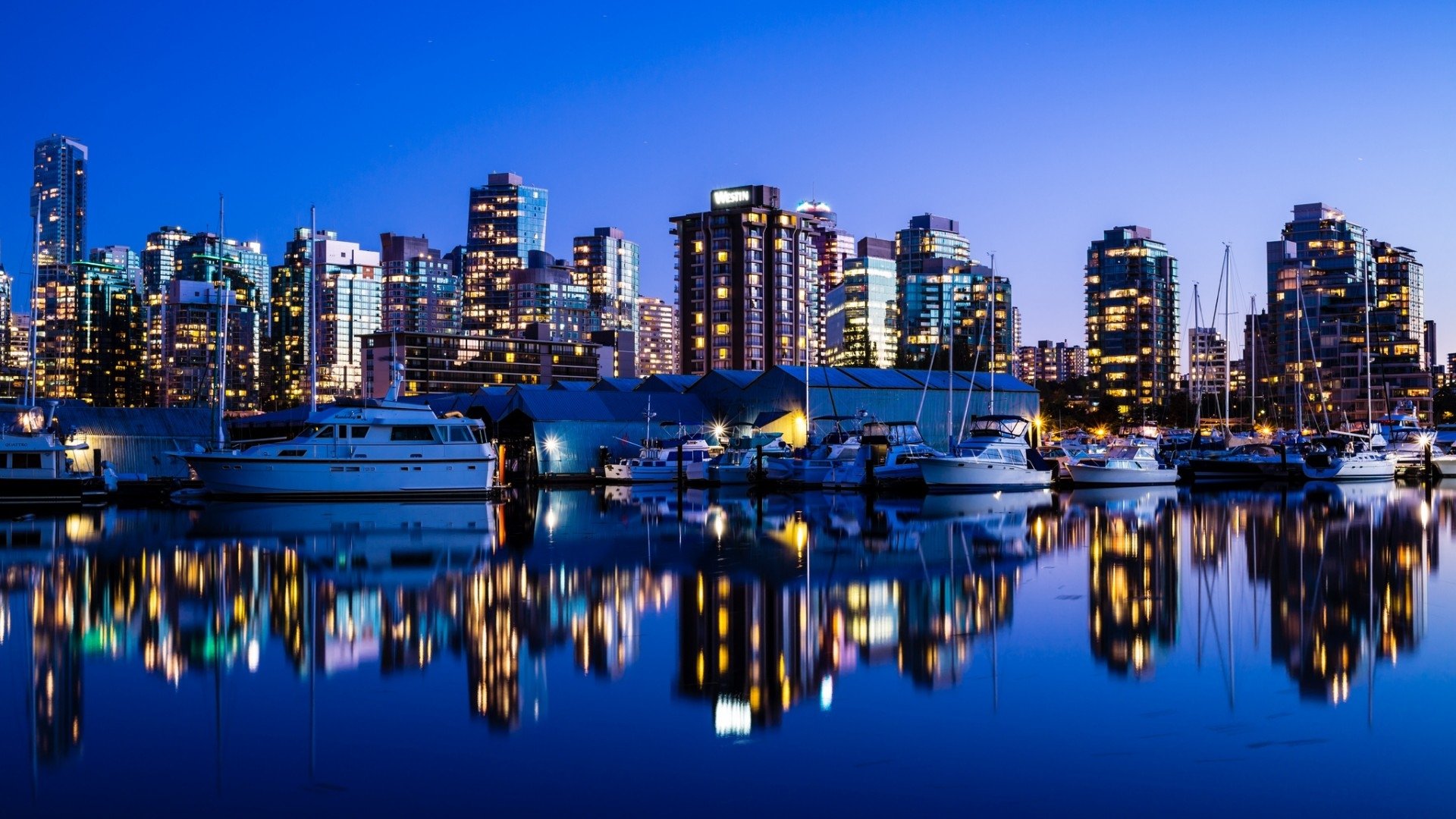 Canada City Photos, Download The BEST Free Canada City Stock Photos & HD  Images