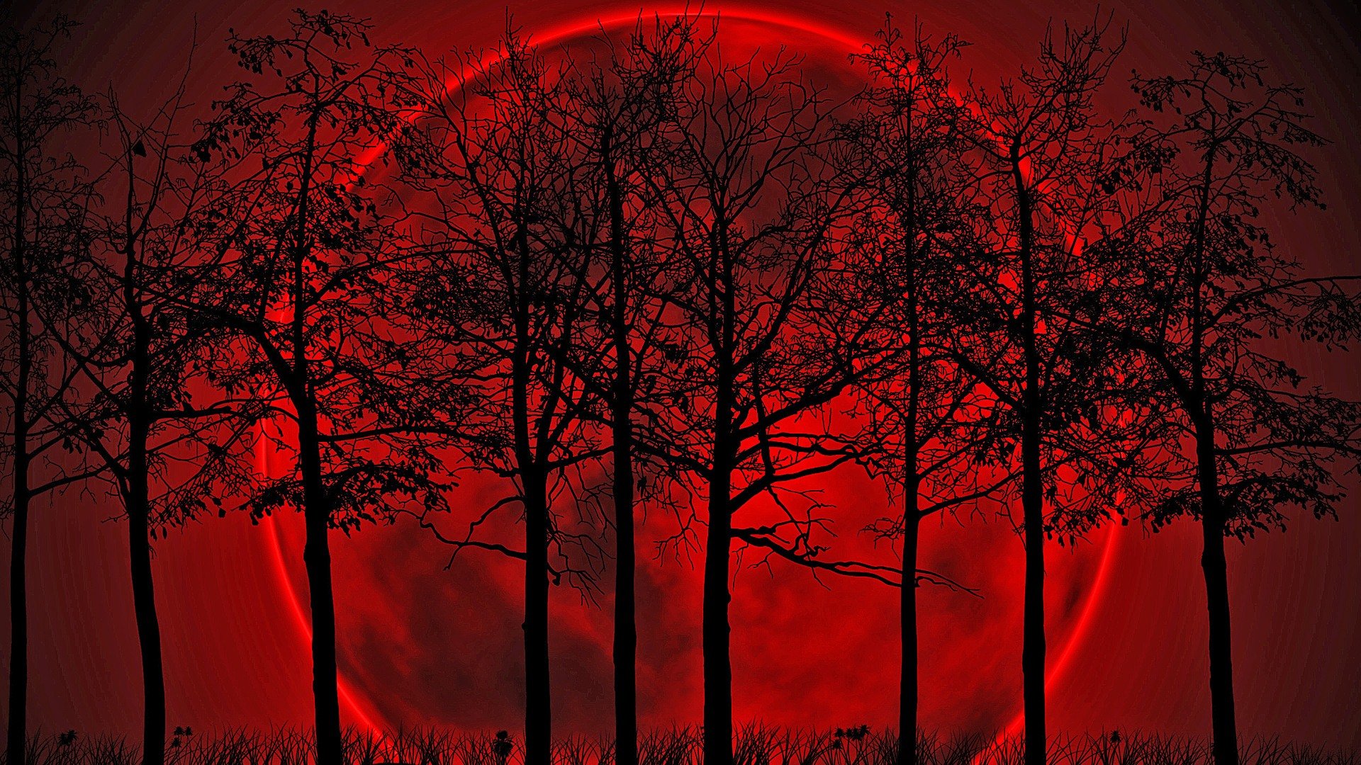 Red Moon Hd Wallpaper For Mobile
