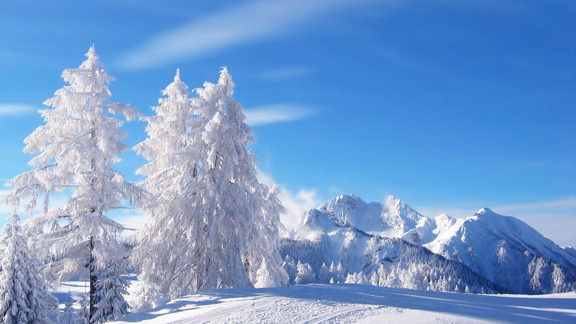 A Beautiful Season of Winter HD wallpaper