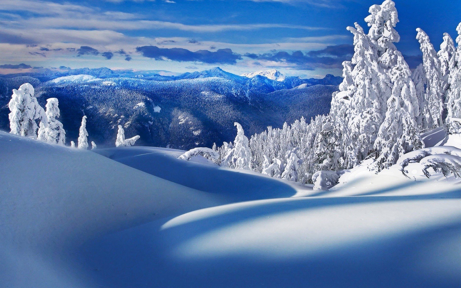 Beautiful Winter Scenery HD wallpaper