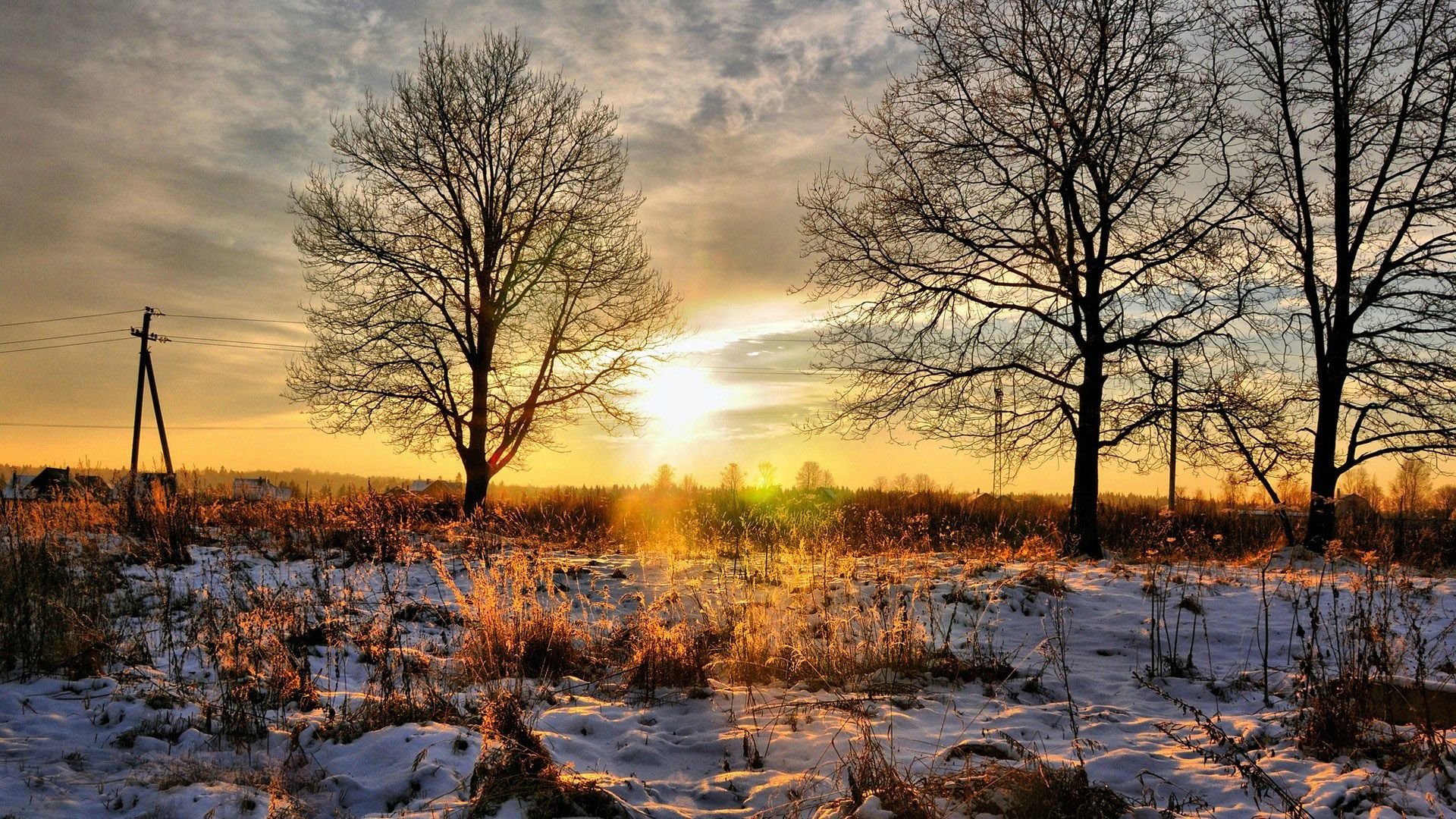 HD wallpaper Late Winter Sunset snow trees forest landscape  Wallpaper  Flare