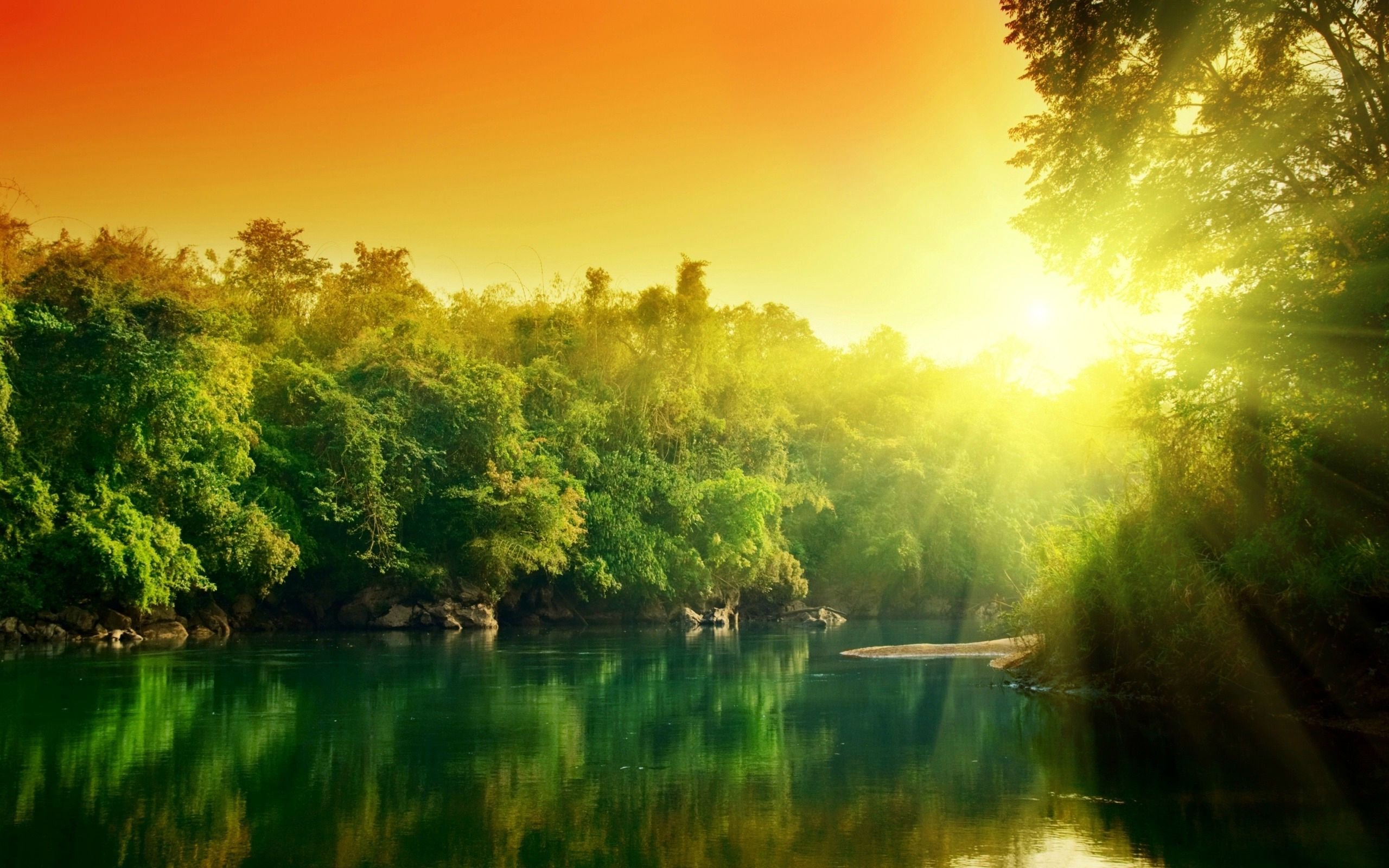 River Forest Sunset HD wallpaper