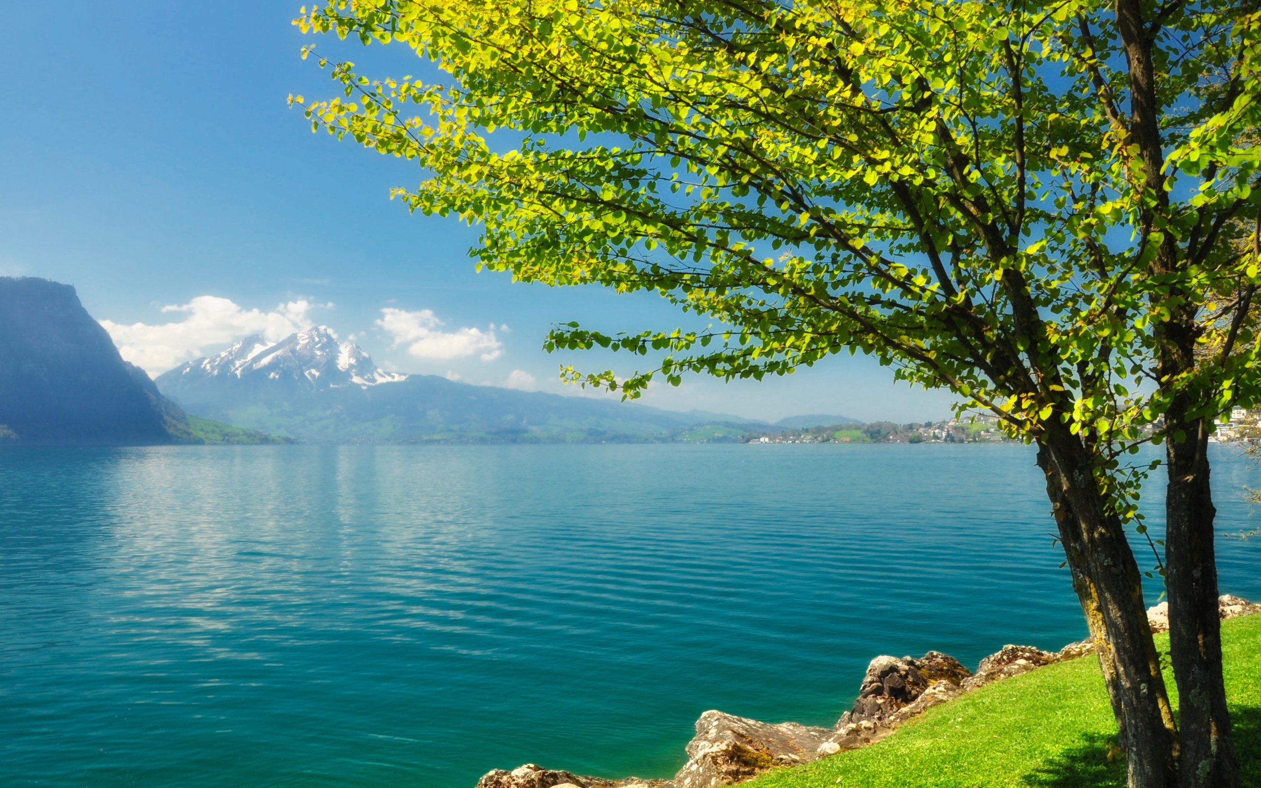 Featured image of post Wallpaper Beautiful Spring Scenery We have a massive amount of hd images that will make your computer or smartphone look absolutely fresh
