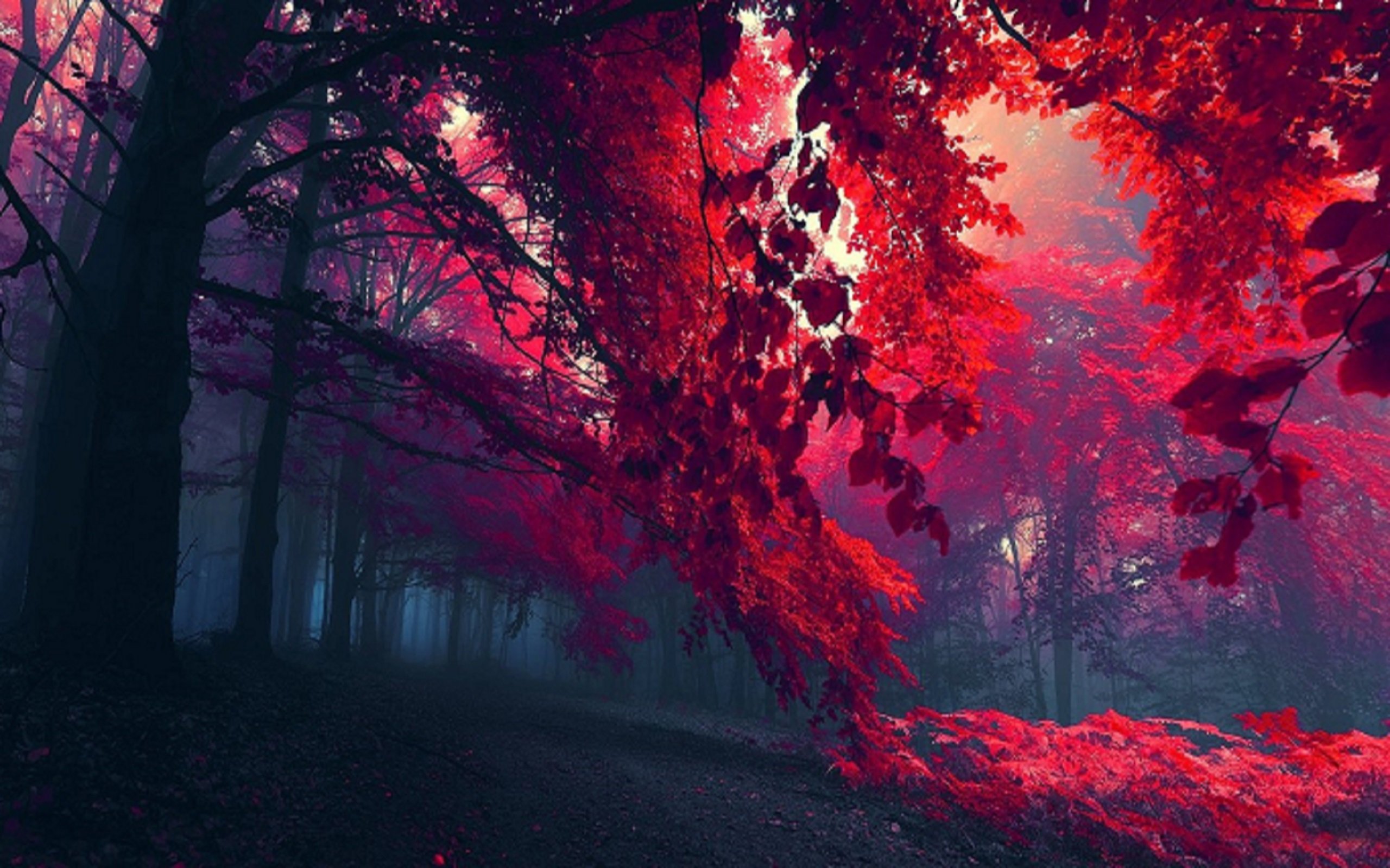 Red Blood Forest HD wallpaper