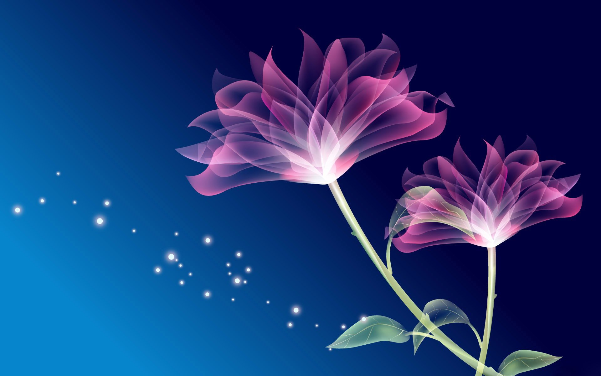 Beautiful Pink Animation With Blue Background HD wallpaper