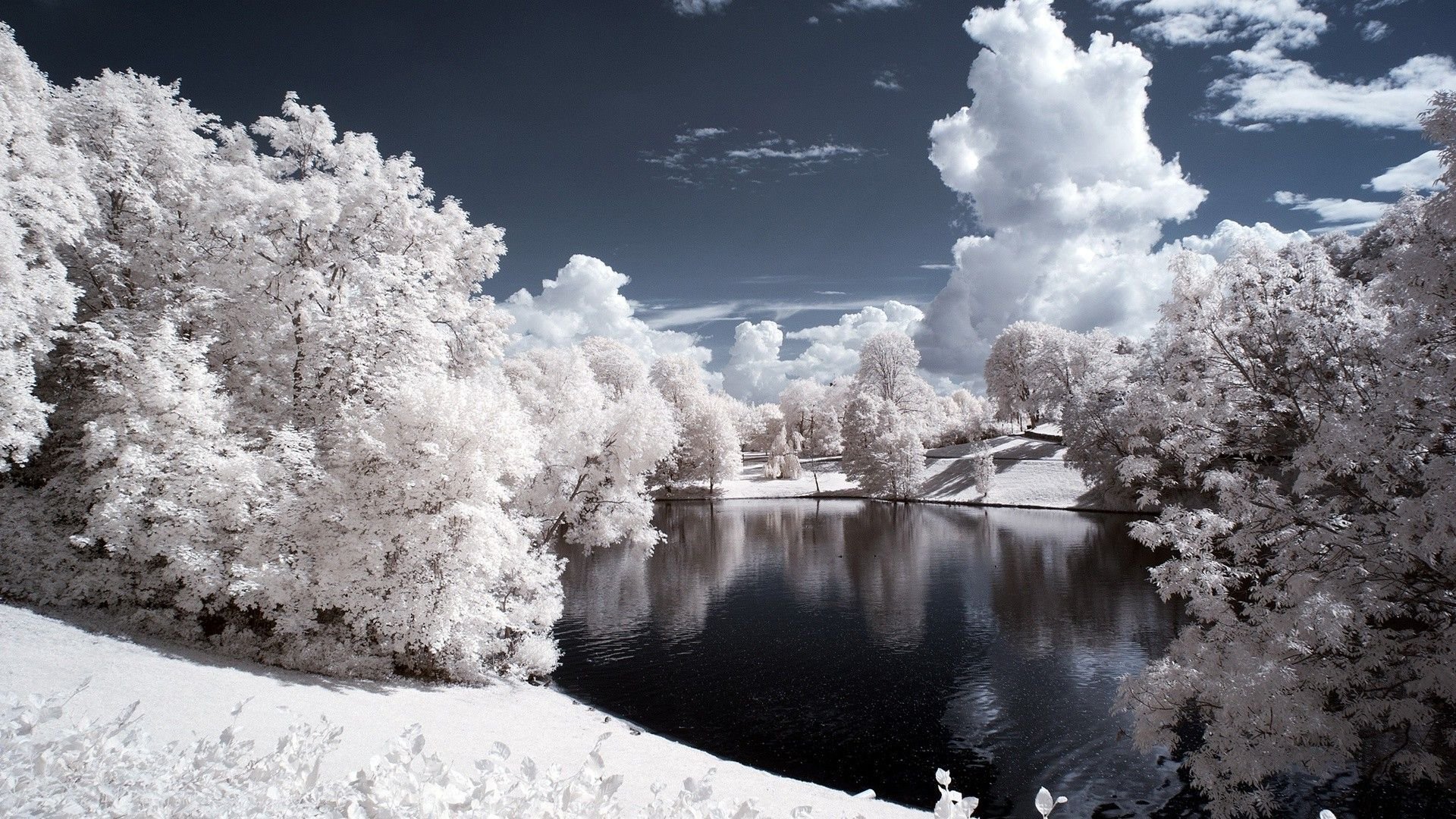 White Winter Landscape HD wallpaper