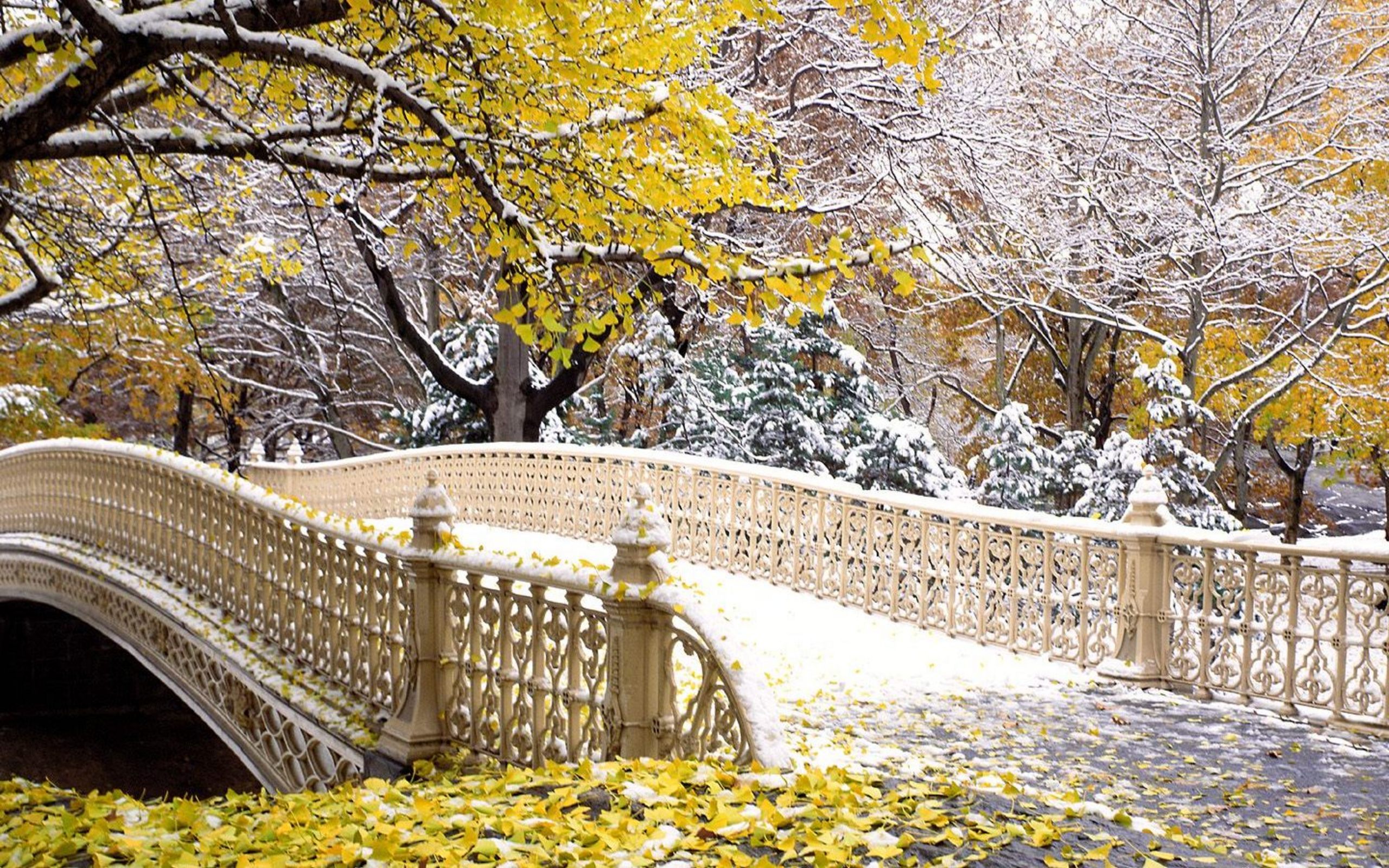 Красивые картинки первый. Центральный парк Нью-Йорк. Центральный парк Нью-Йорк мостик. Обои Нью Йорк Центральный парк мост. Ранняя зима.