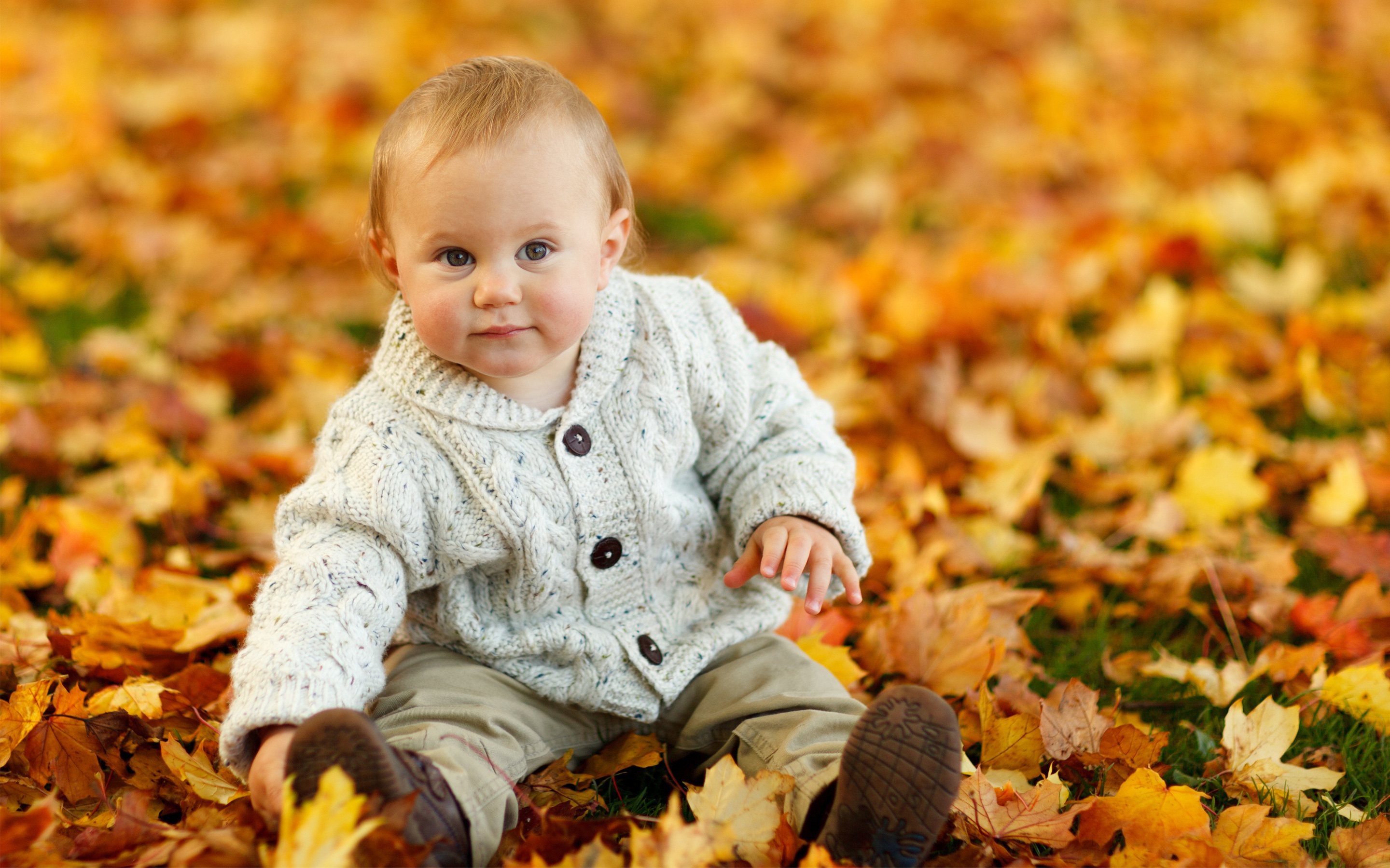 Cute Baby Boy Autumn Leaves HD wallpaper