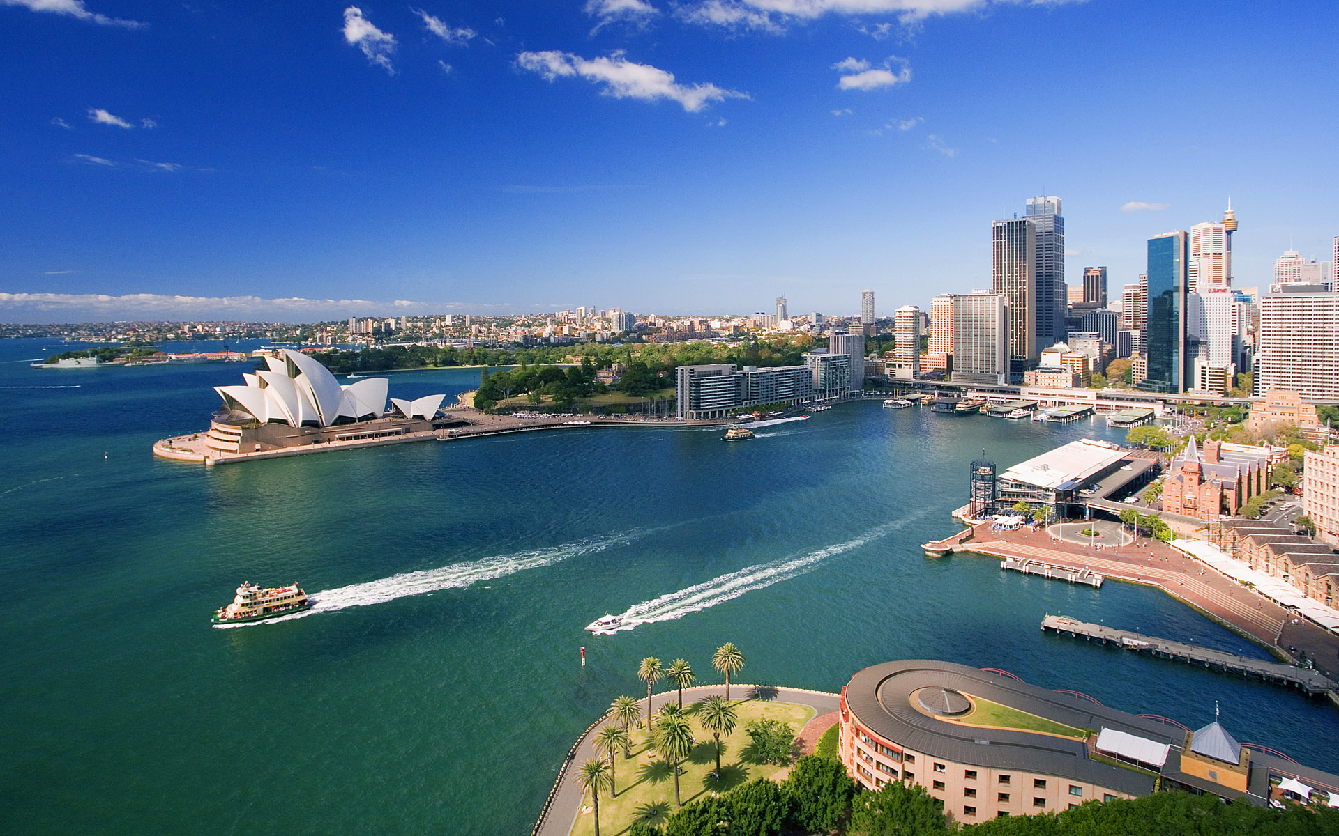 Sydney 4K wallpapers for your desktop or mobile screen free and easy to  download