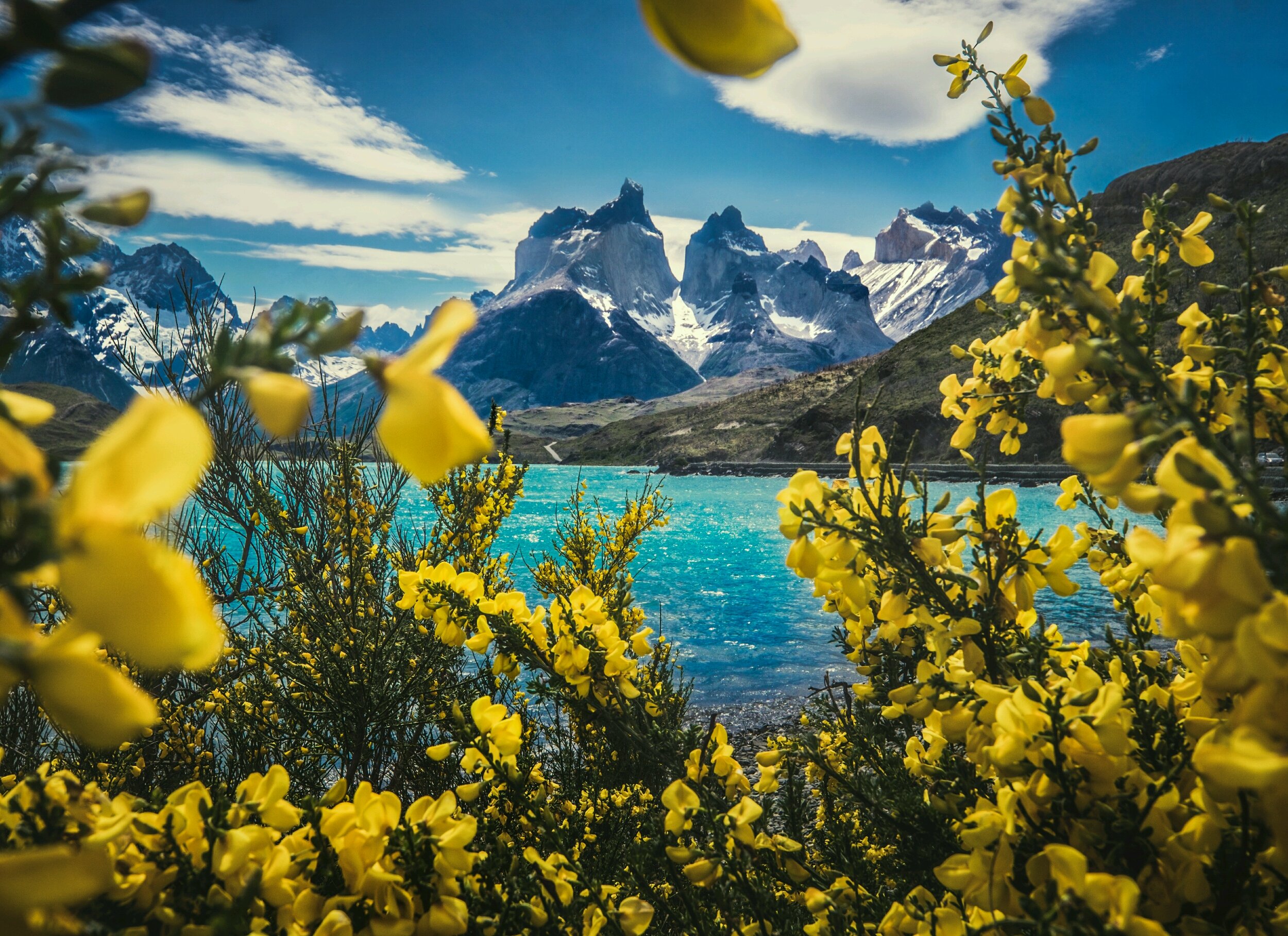 Spring in Patagonia HD wallpaper