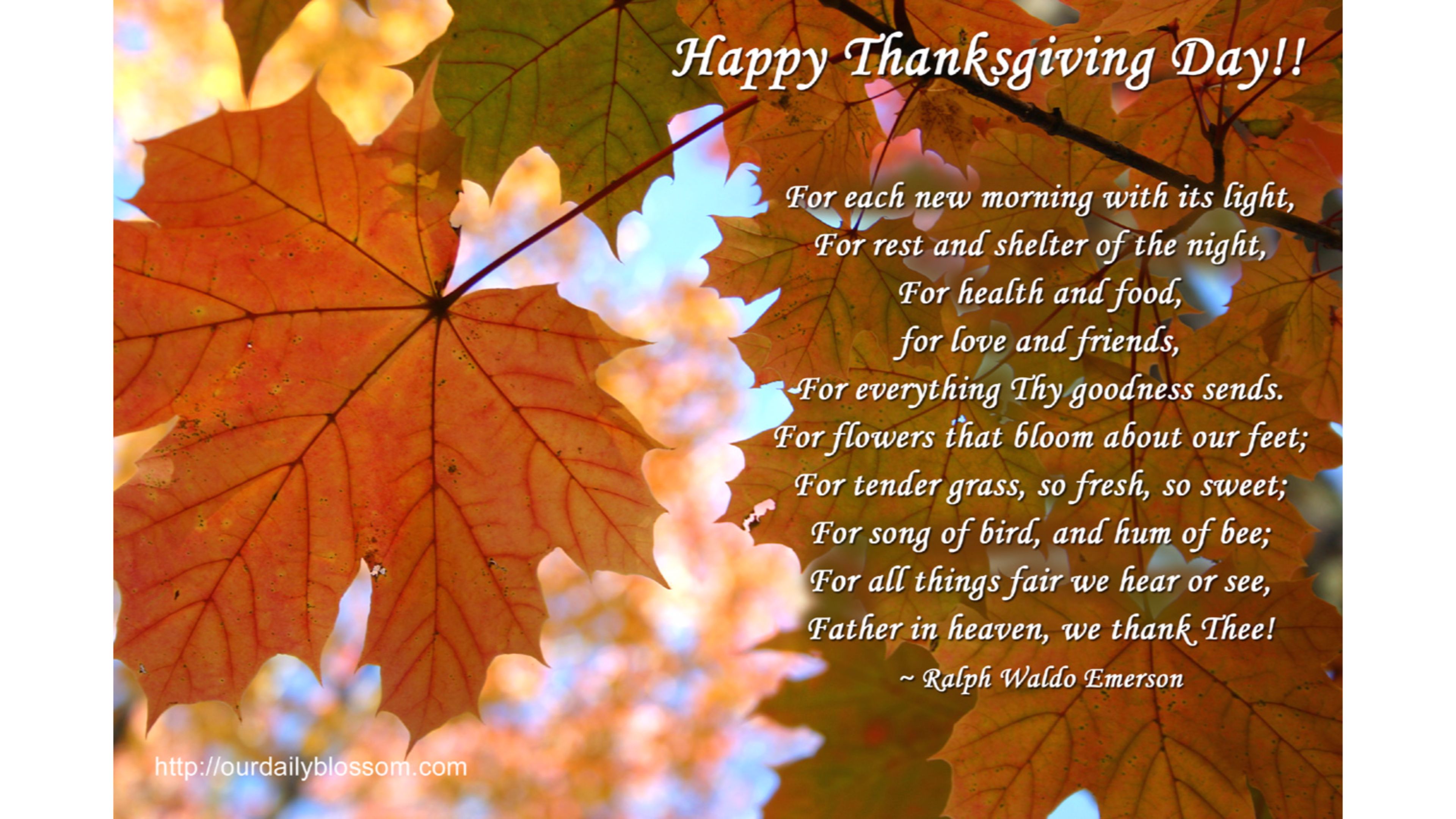 Quotes Happy Thanksgiving 4K wallpaper
