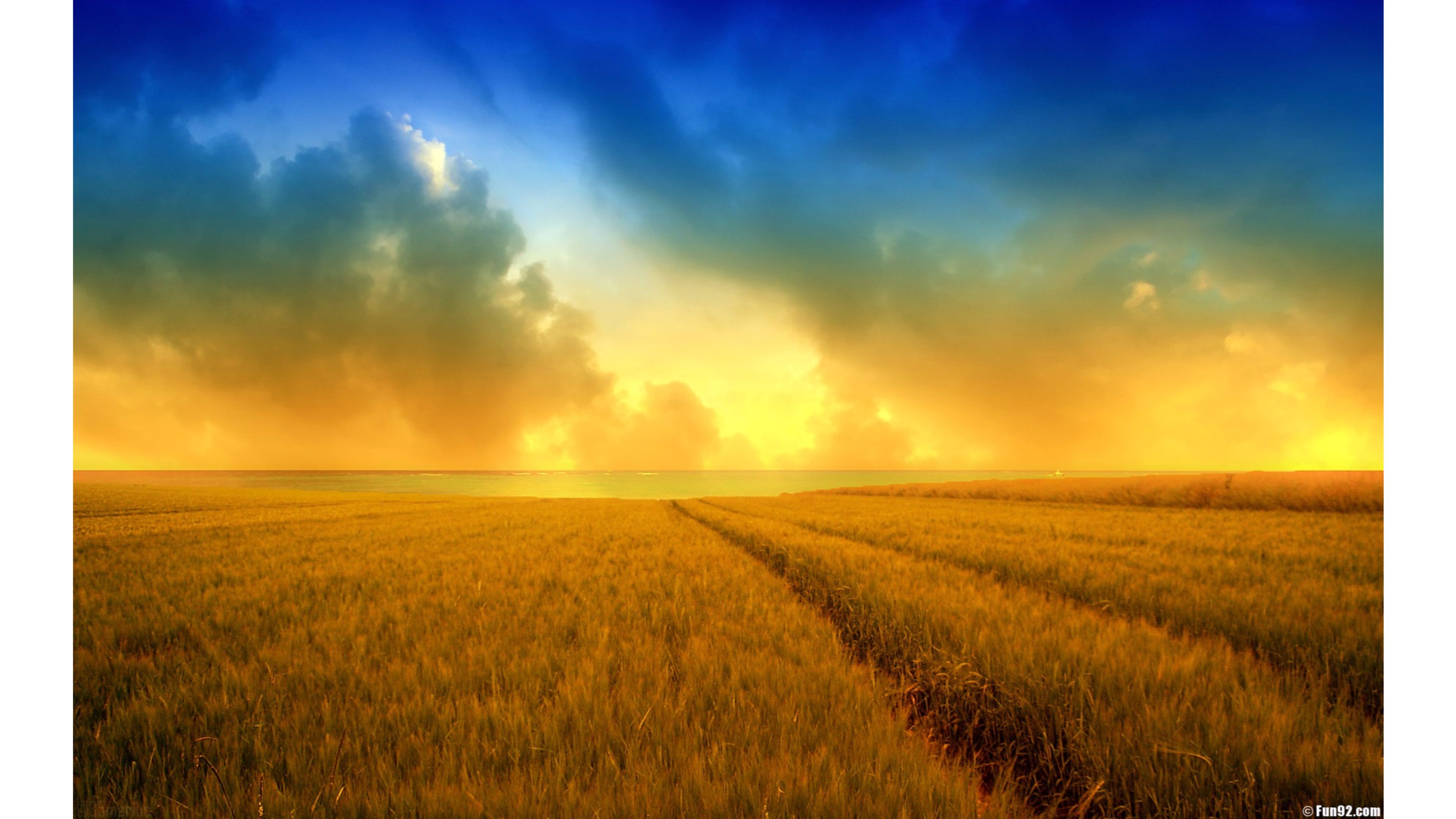 Украинский фулл. Желтое поле голубое небо. Фон поле. Украинское поле. Пшеничное поле.