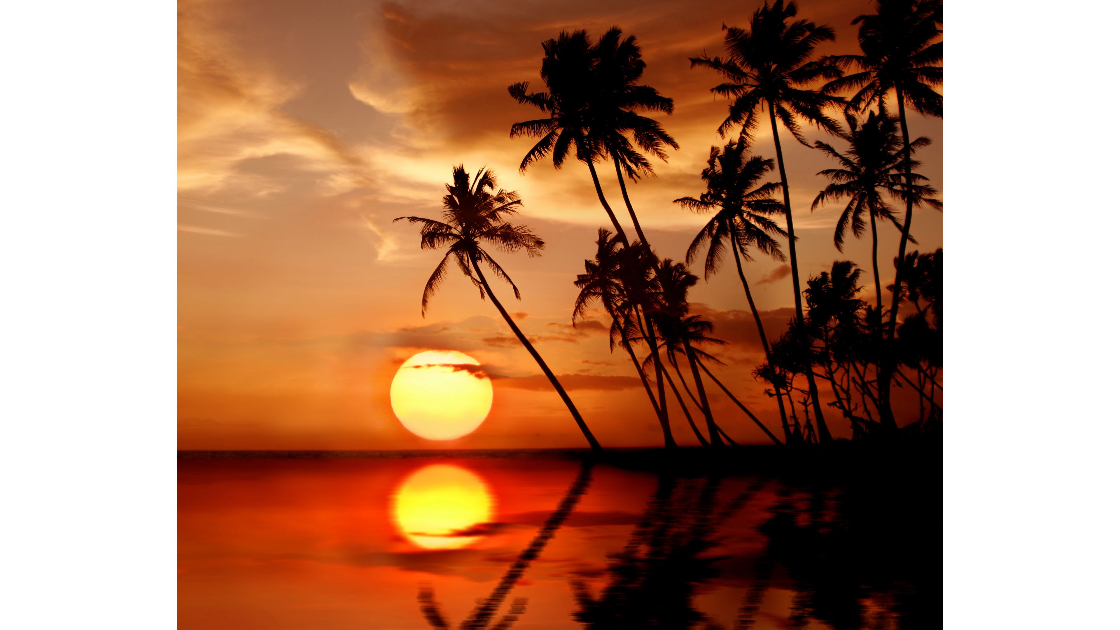 Tropical Sunset S 4K wallpaper