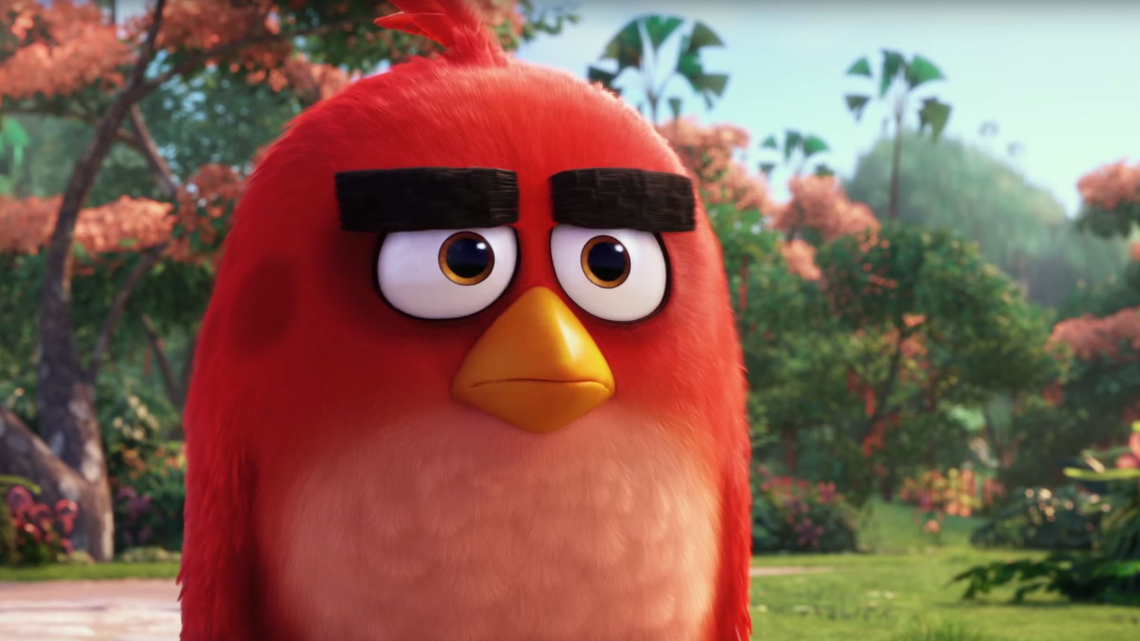 329885 Angry Birds Movie 2 Characters 4k  Rare Gallery HD Wallpapers
