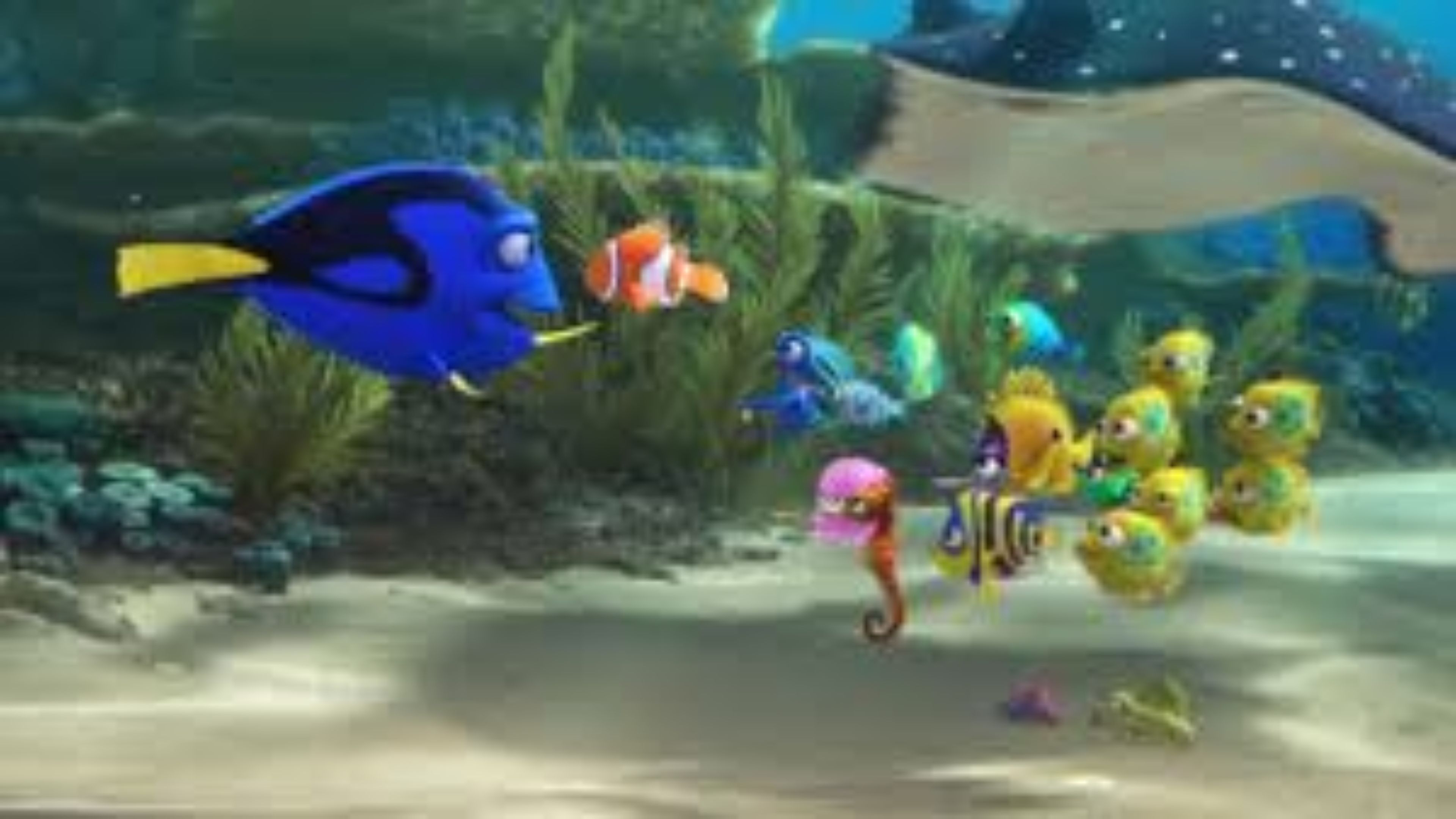 527757 7980x6000 High Resolution Wallpaper finding dory  Rare Gallery HD  Wallpapers