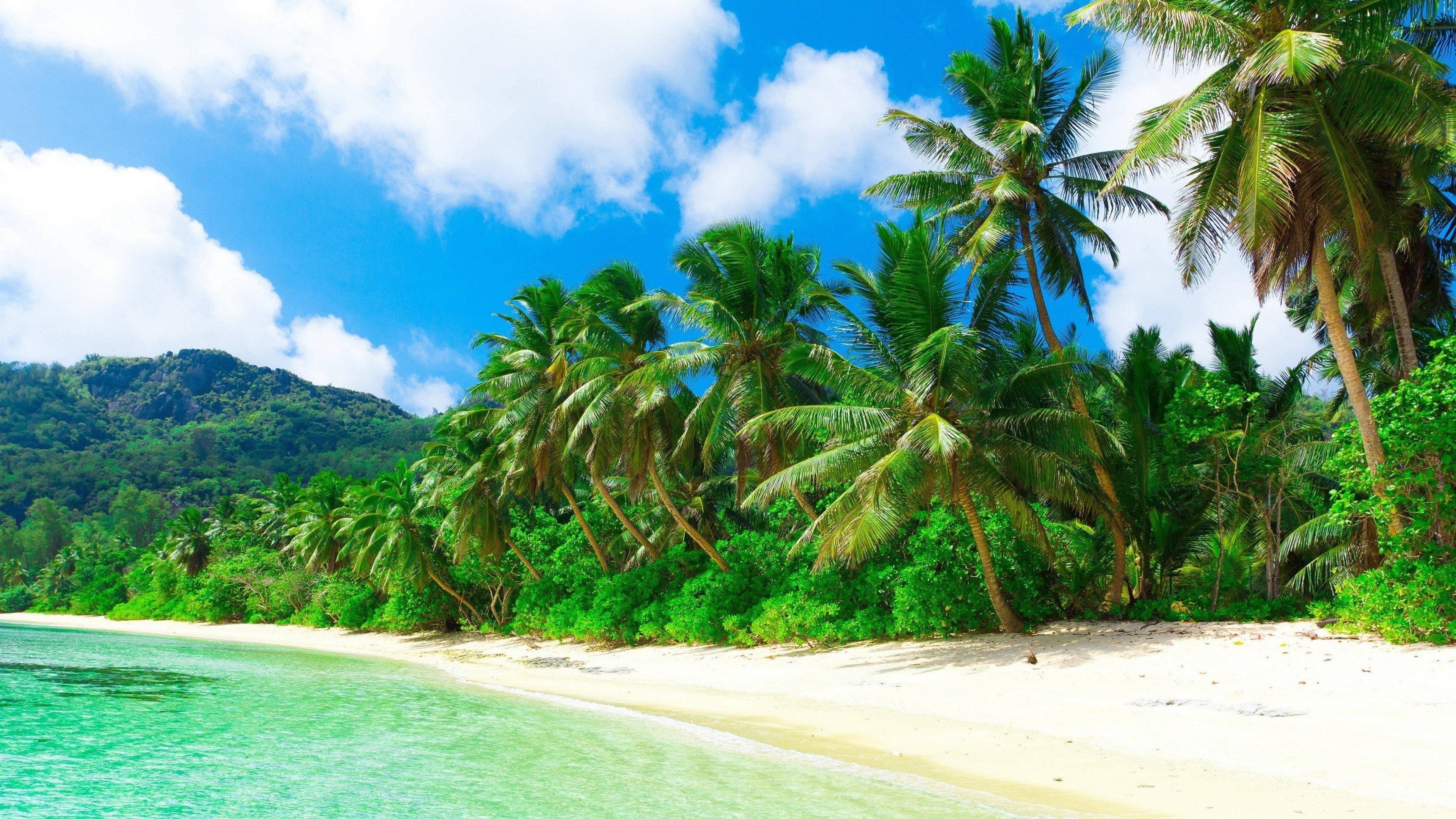 Tropical Island Wallpapers  Top Free Tropical Island Backgrounds   WallpaperAccess