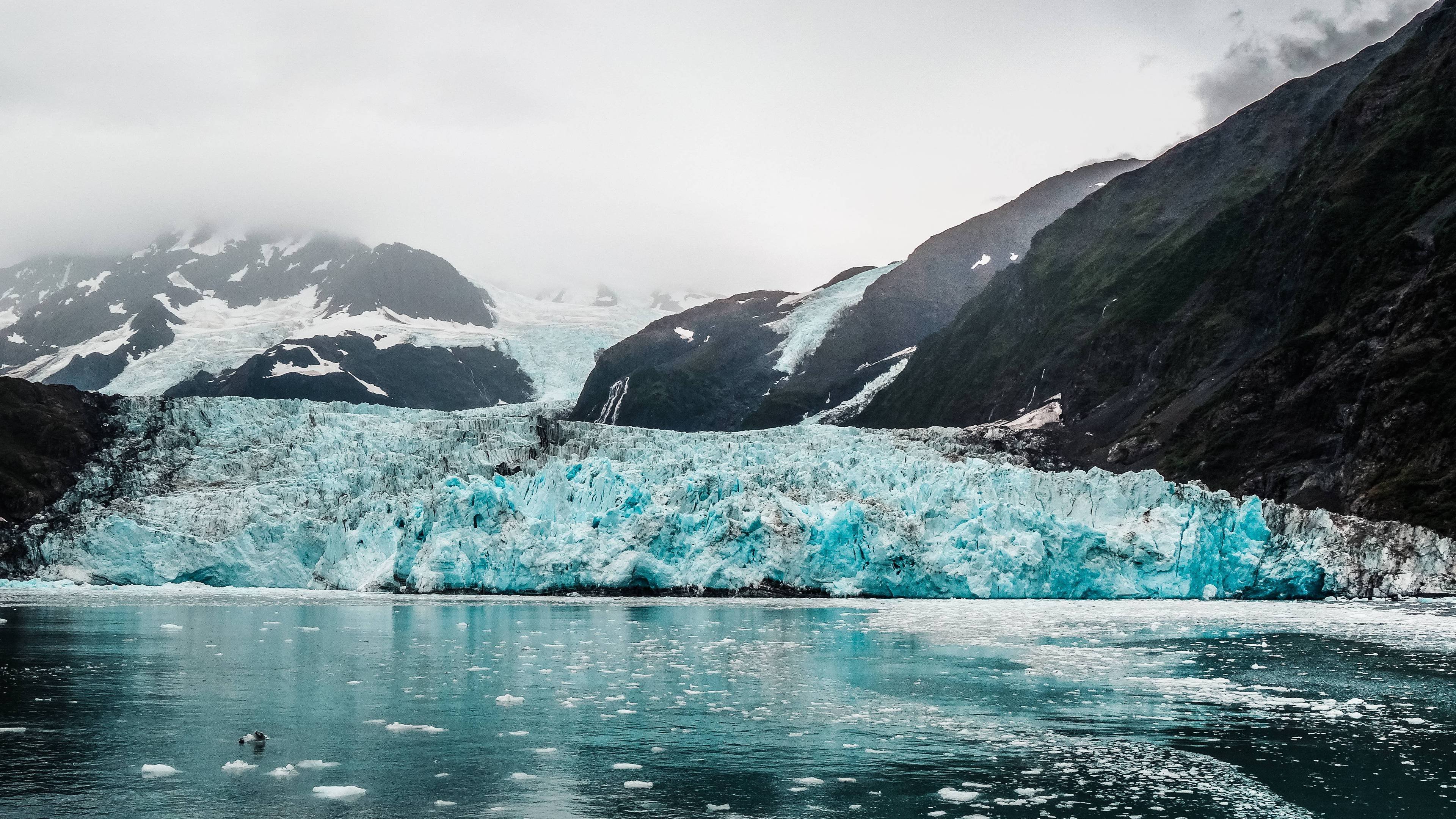 500 Stunning Alaska Pictures HD  Download Free Images on Unsplash