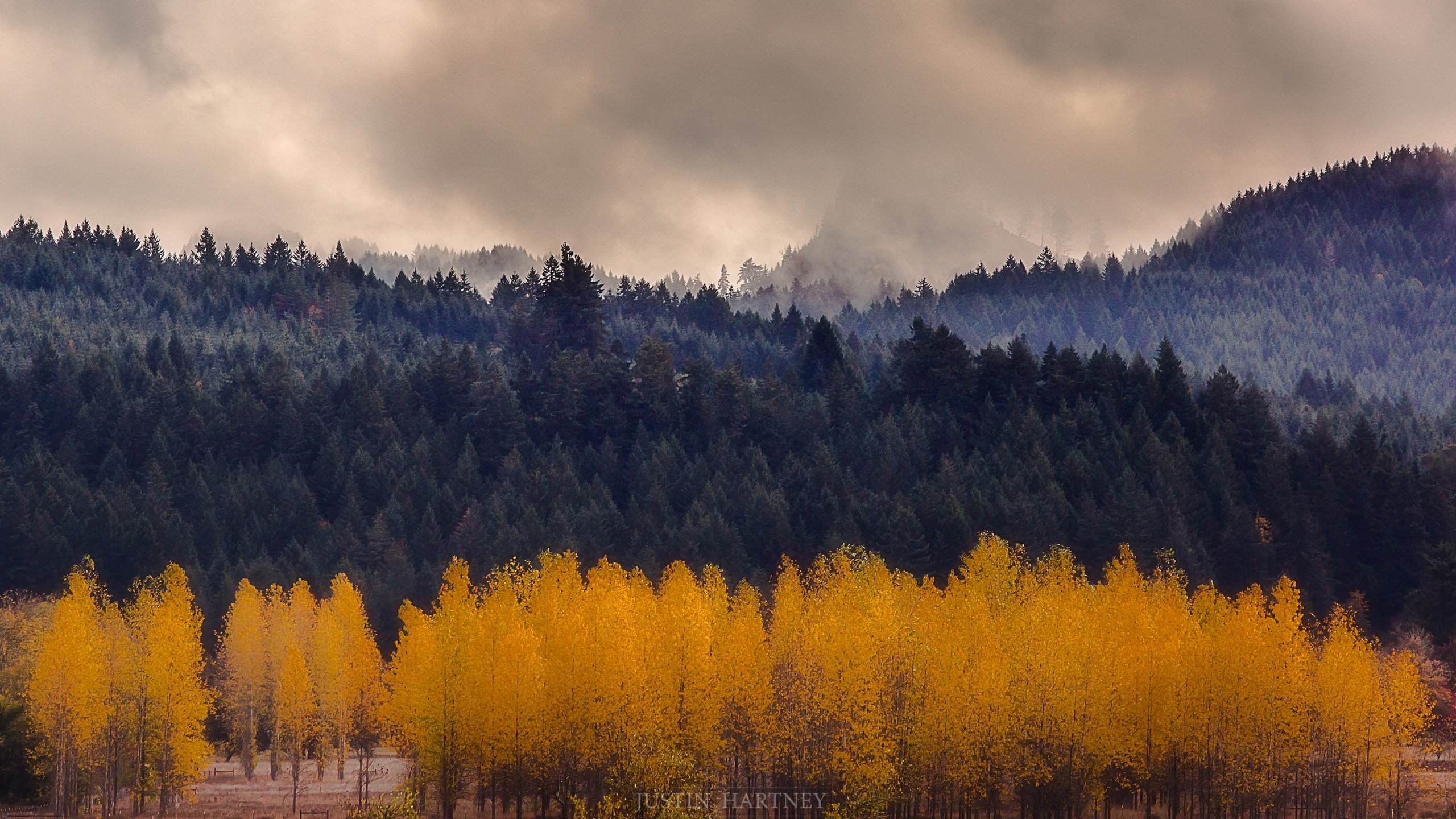 Fall in the Pacific Northwest - Lorane Oregon wallpaper.