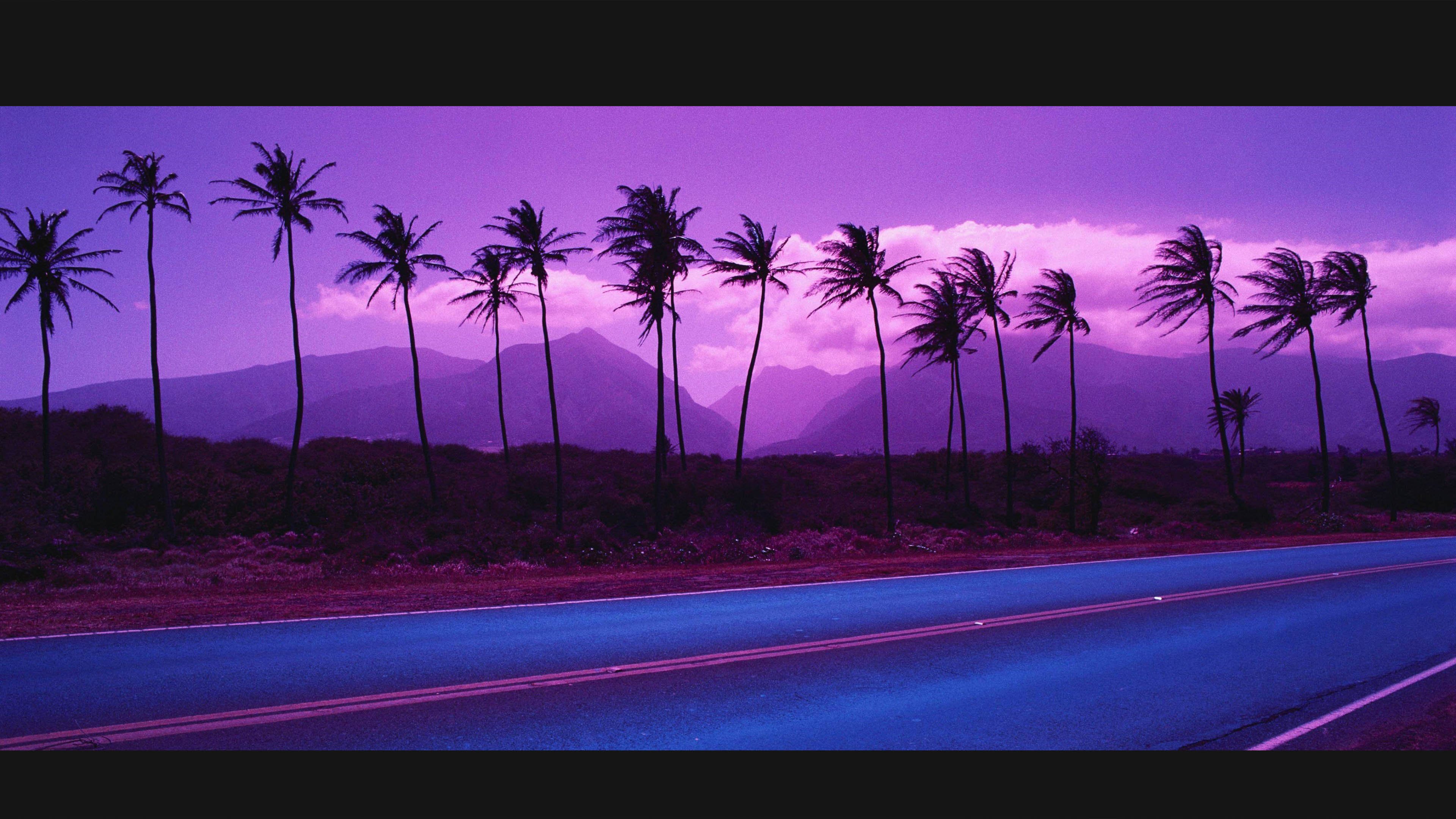 Violet 4K wallpapers for your desktop or mobile screen free and easy to