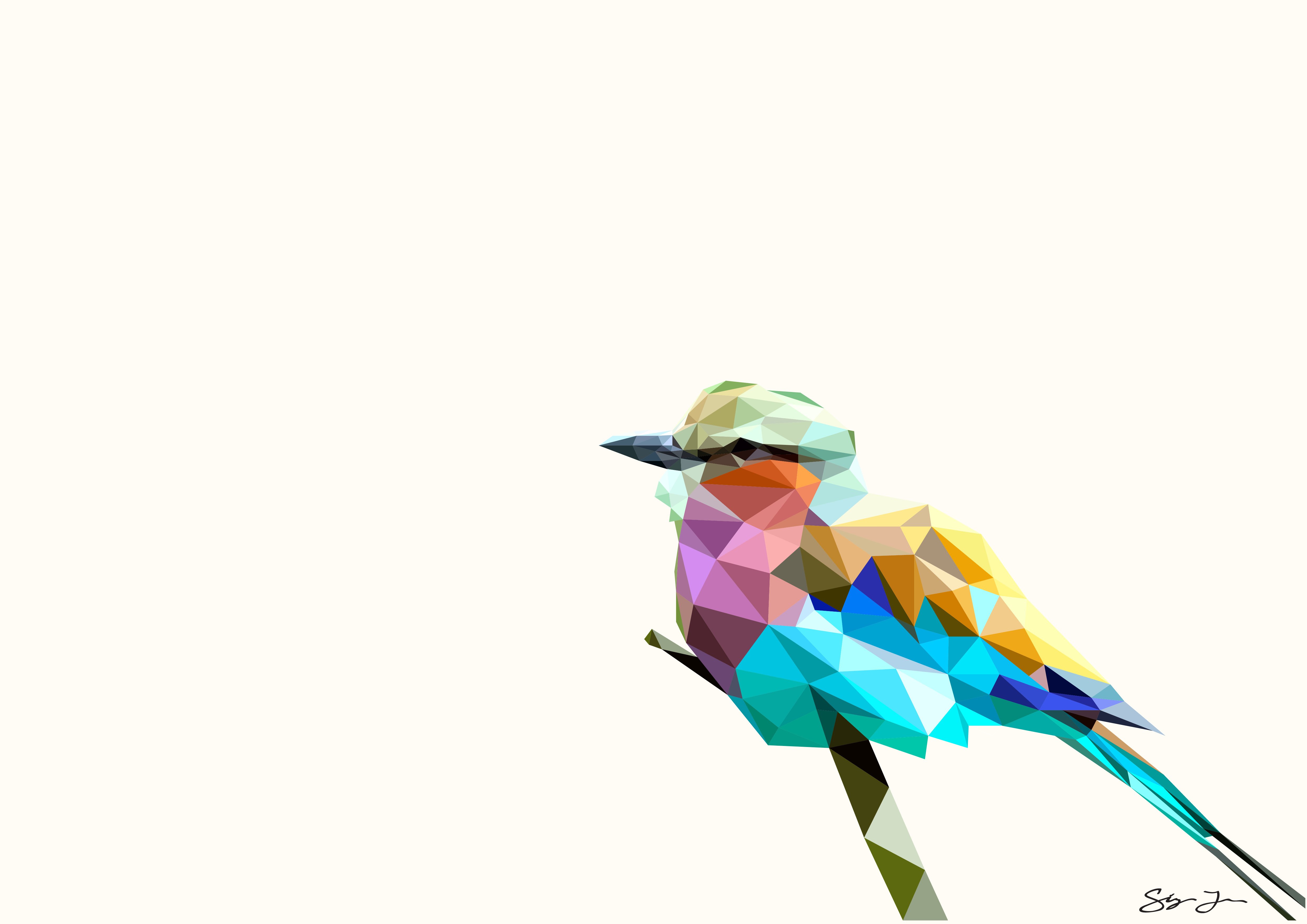 Bird 4K wallpapers for your desktop or mobile screen free and easy to  download