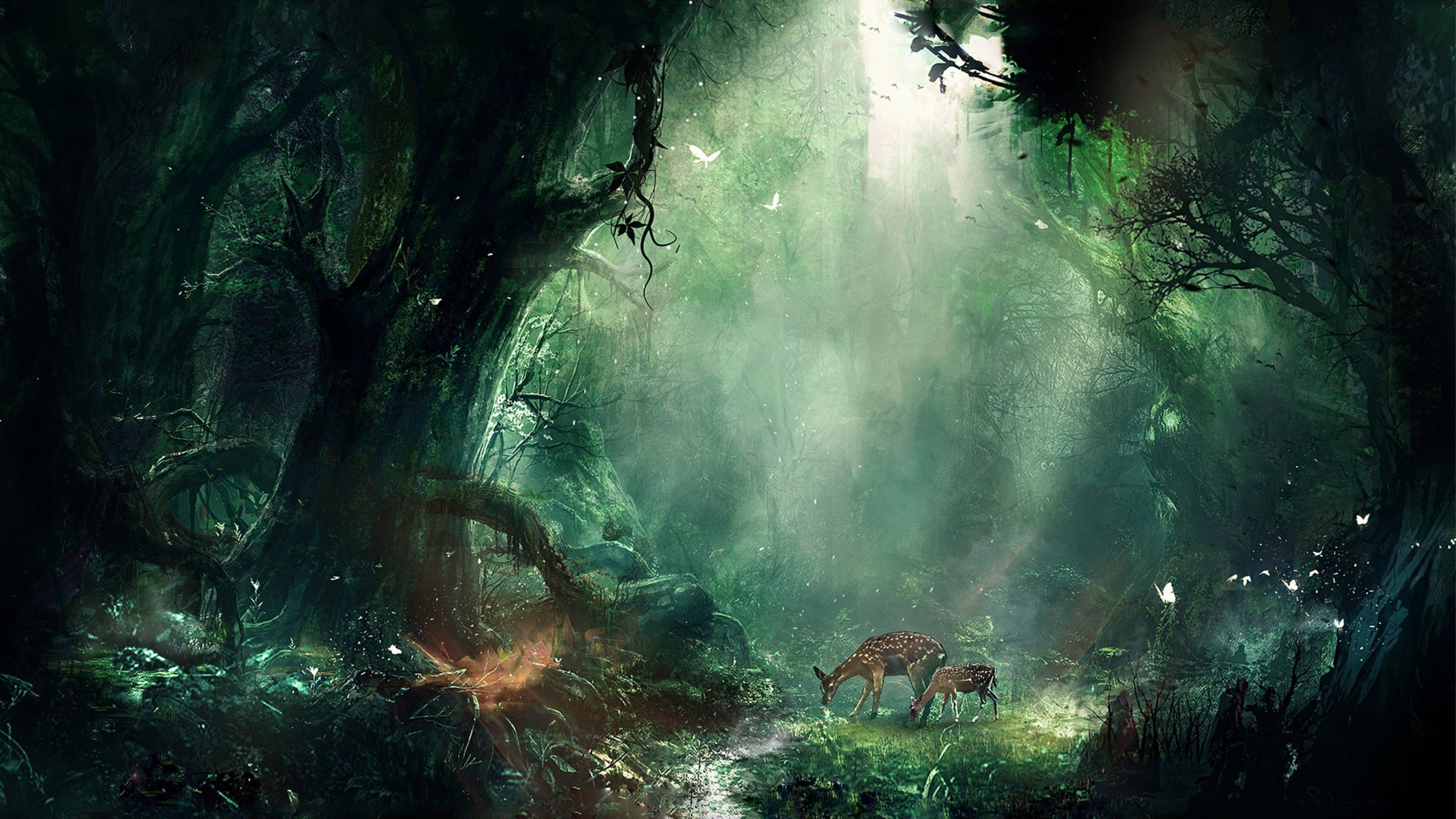 Jungle Wallpapers HD Free Download