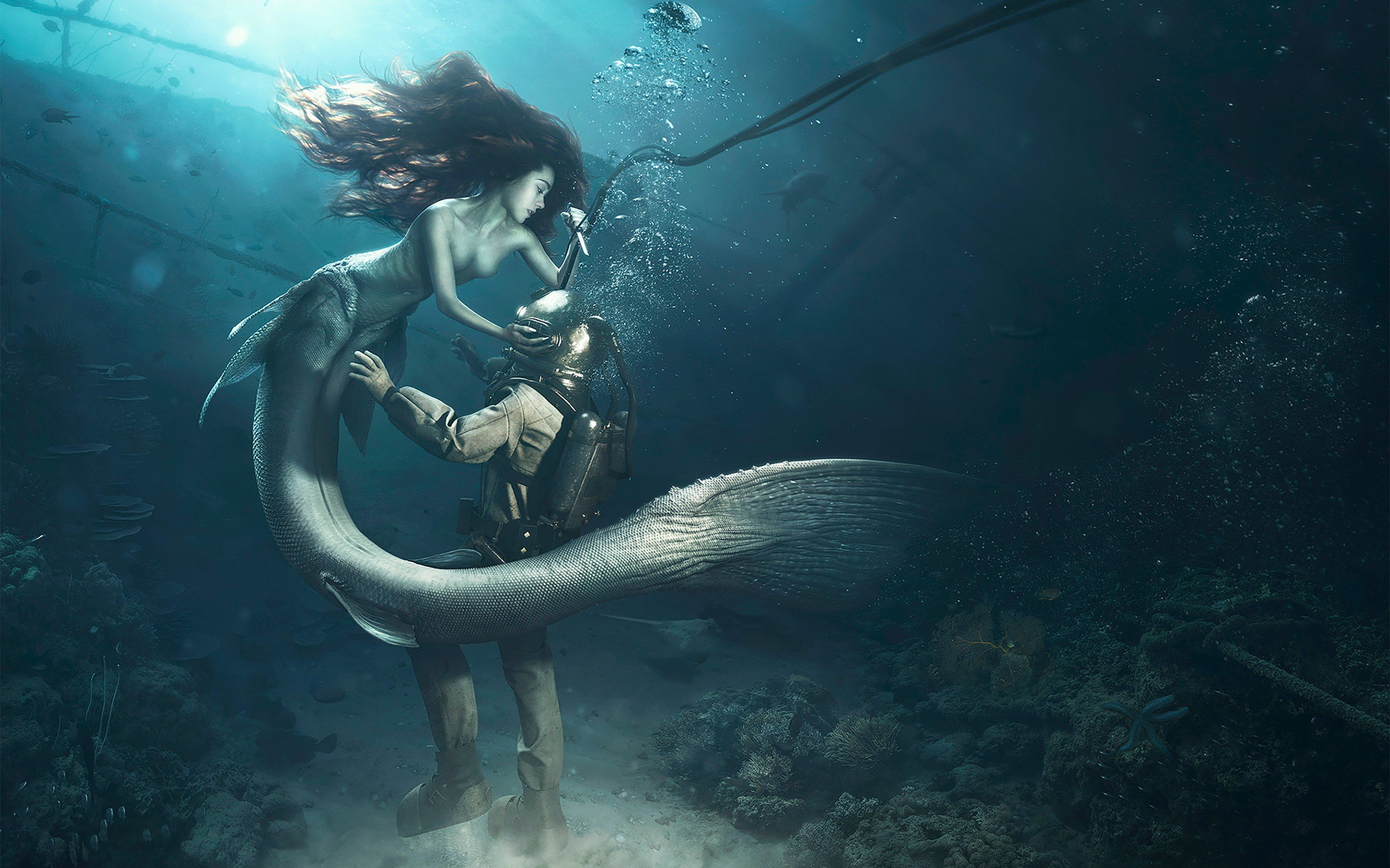 Diver and The Mermaid HD wallpaper
