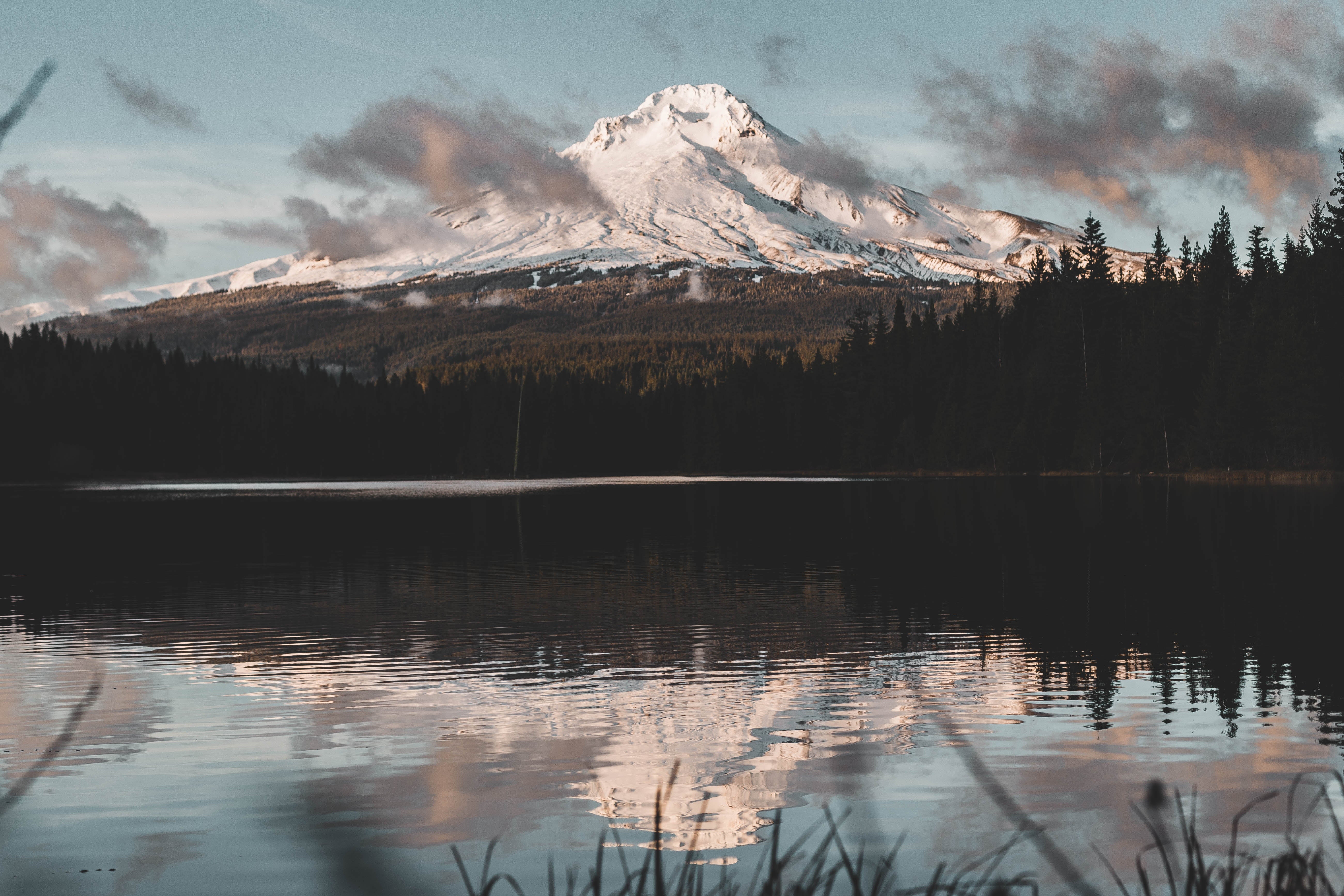 Wallpapers of the Month – Oregon Summer | Abe Kislevitz