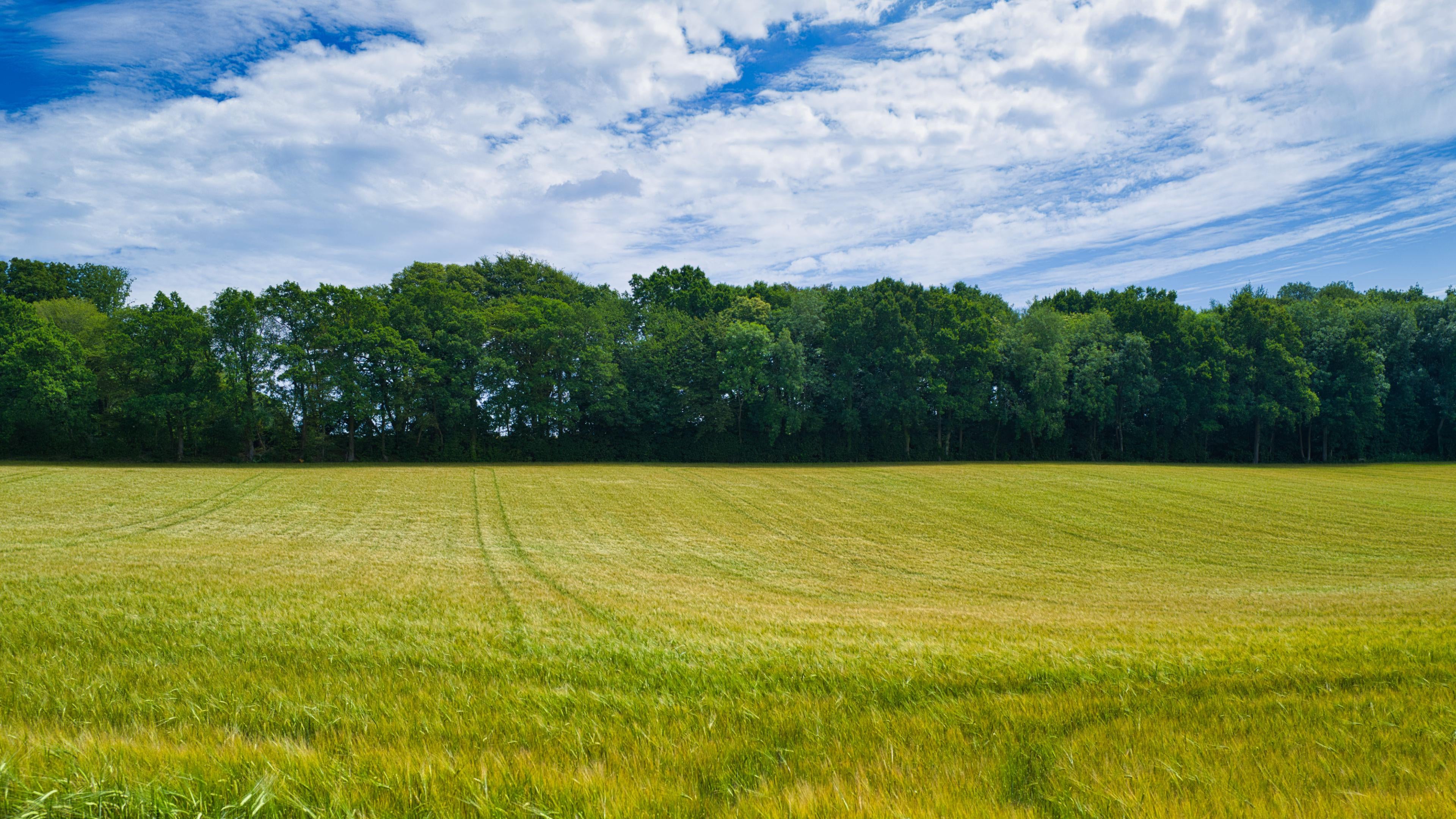 1K English Countryside Pictures  Download Free Images on Unsplash