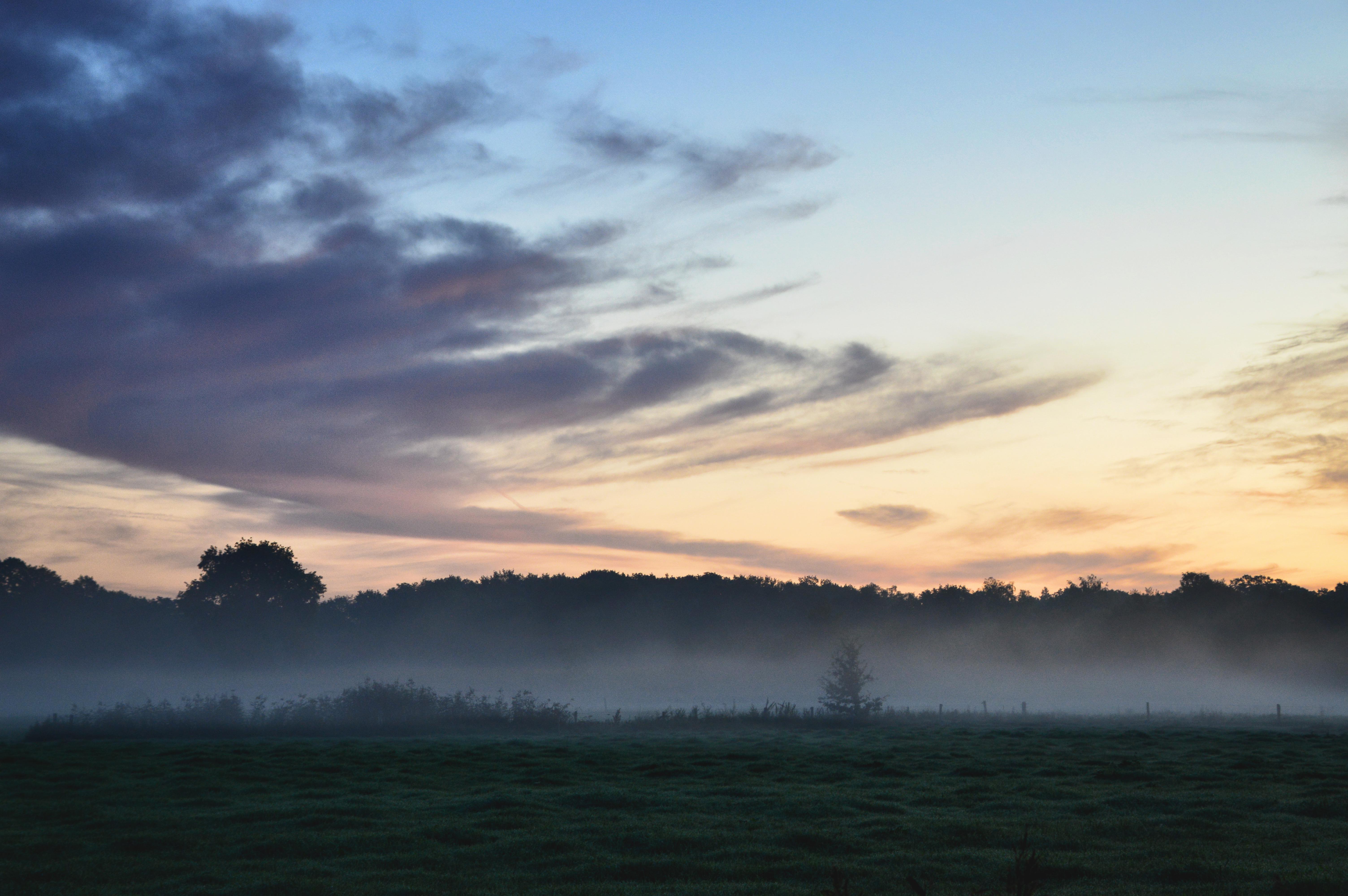 At the Dutch Countryside on a Early Morning 4K wallpaper