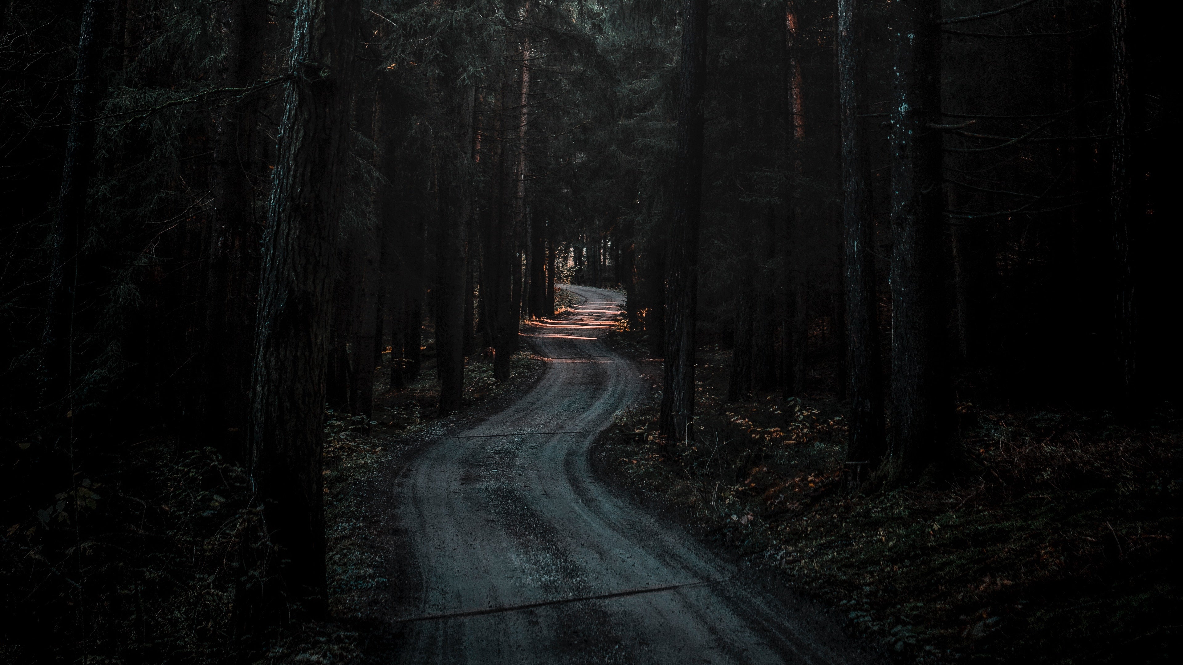 Bức hình nền 4K Forest Road Dark sẽ mang lại cho bạn cảm giác như mình đang đứng giữa rừng xanh đầy bóng tối. Quang cảnh đầy ma mị này chắc chắn sẽ làm bạn đắm mình trong từng chi tiết. Nhấn vào hình ảnh để tìm hiểu thêm.