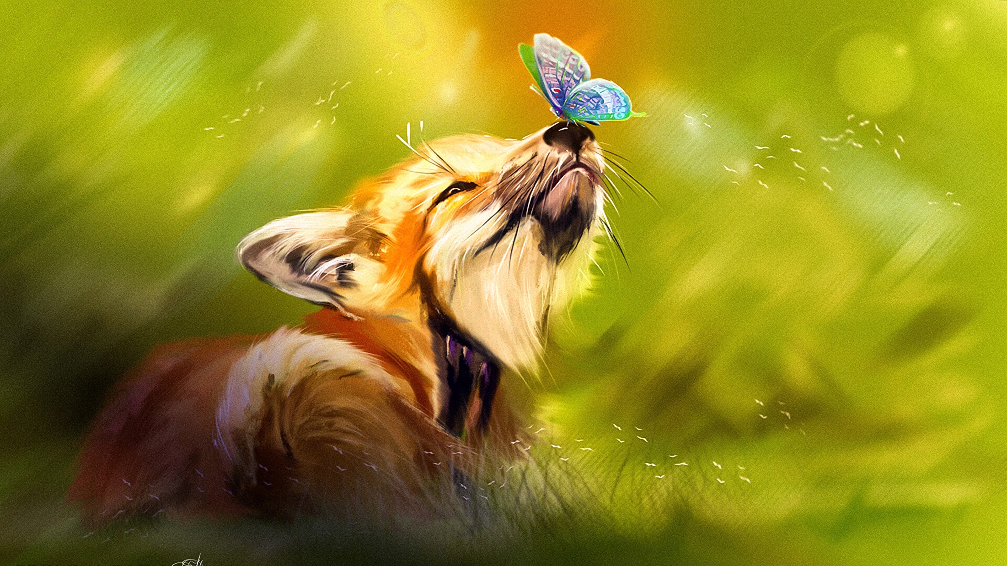 Fox and Butterfly 4K wallpaper