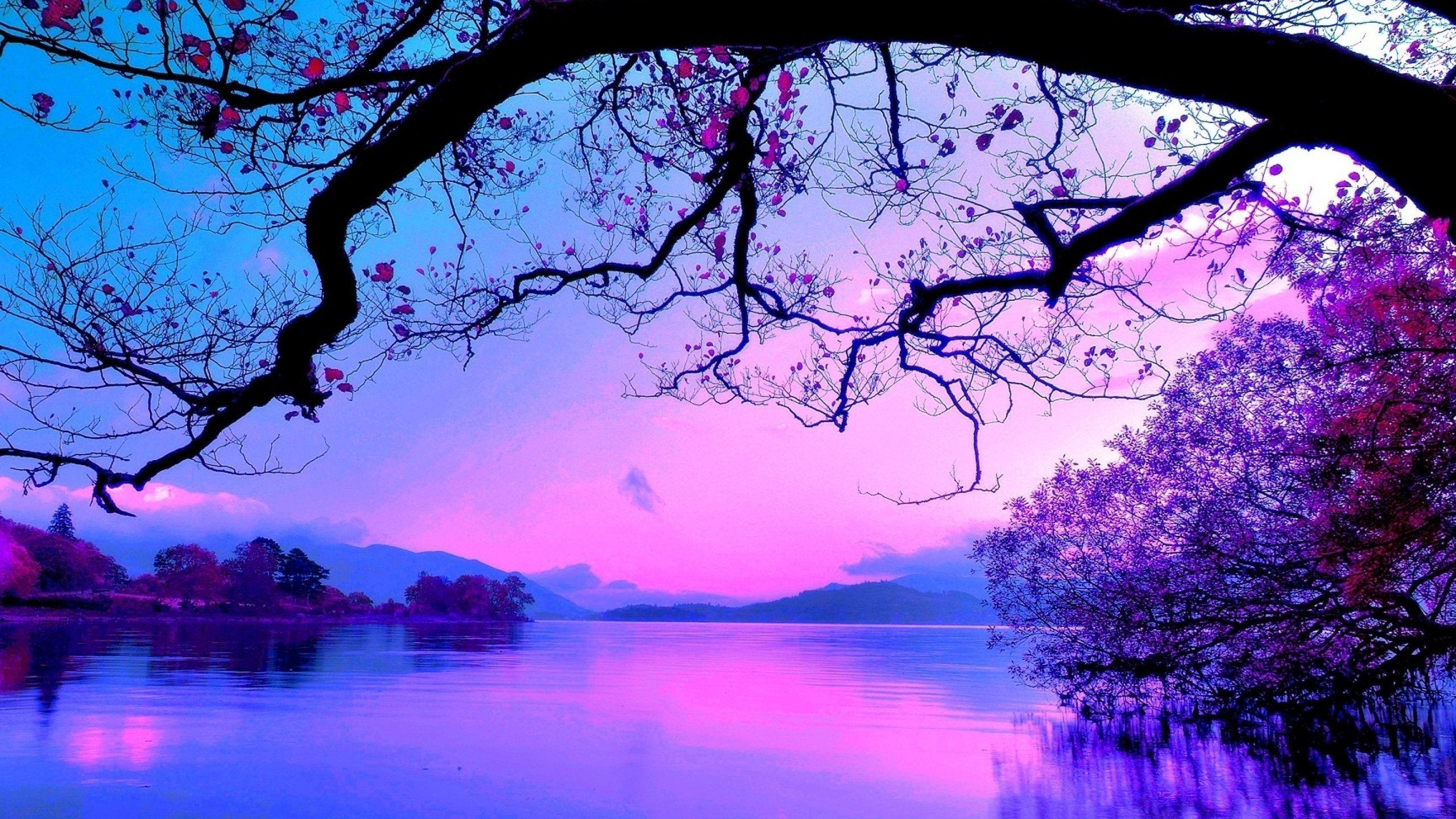 purple sunset wallpaper hd