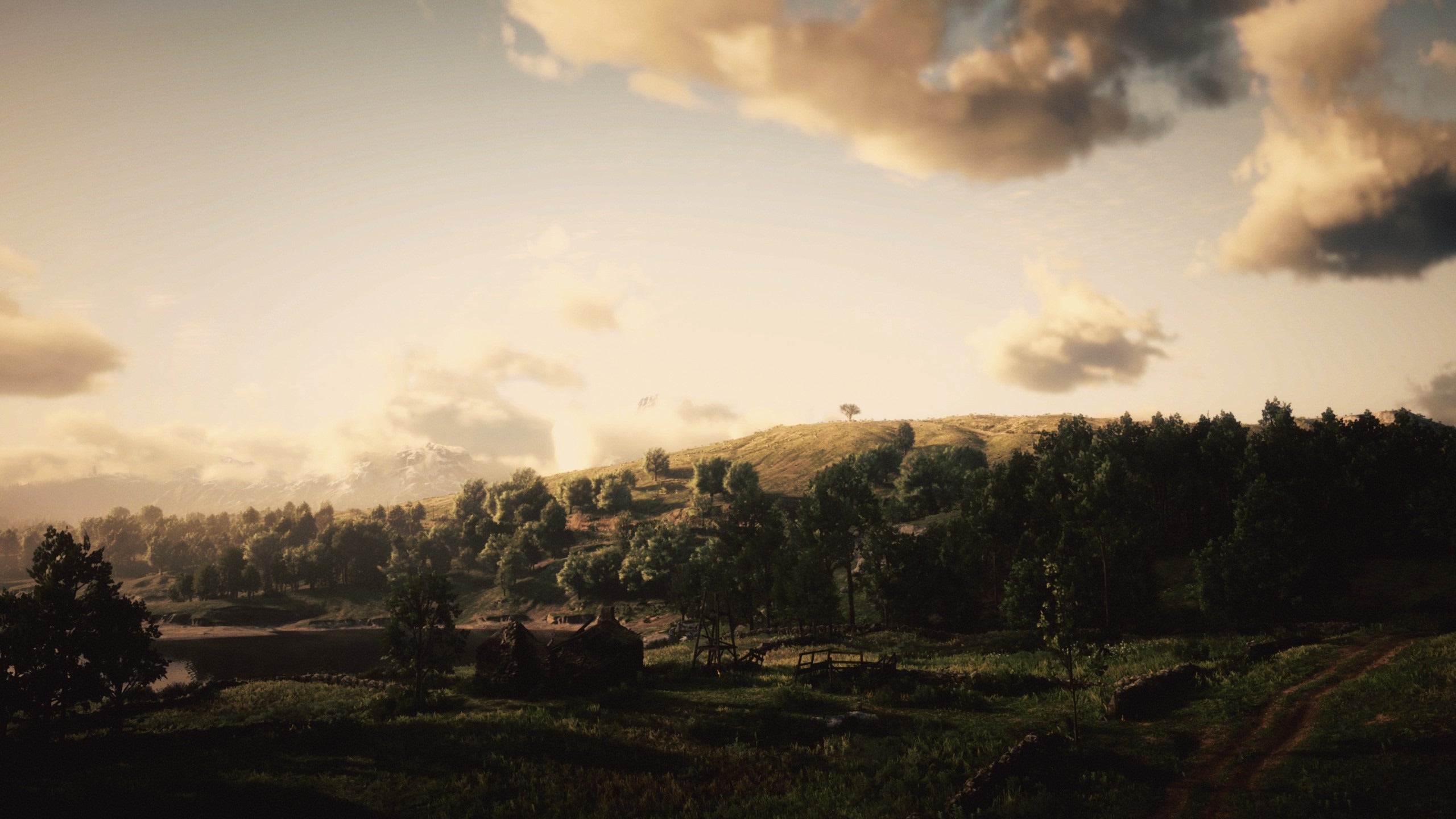 Screen Grab From My Time in Red Dead Redemption 2 HD wallpaper