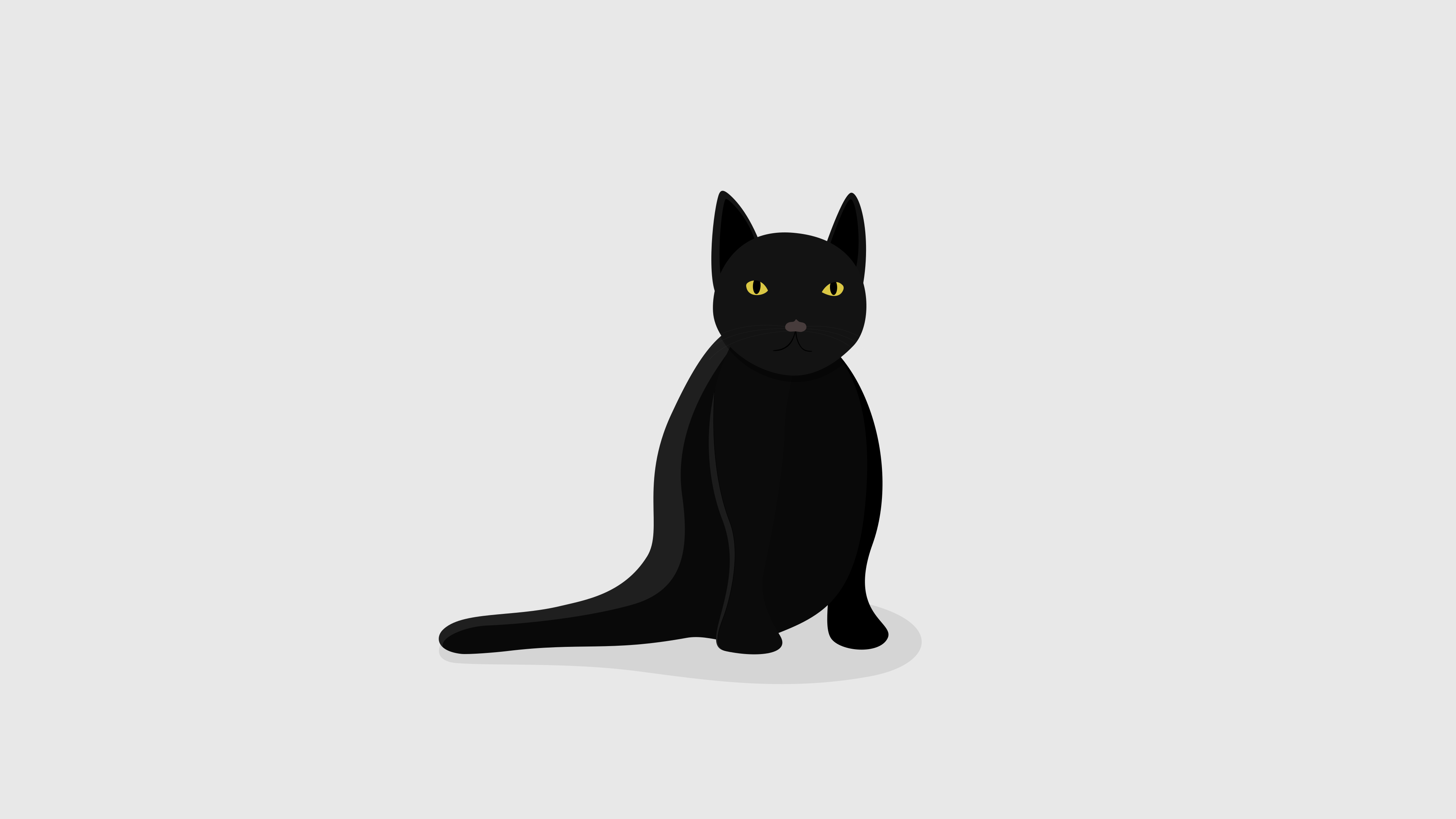 Black Cat, blue, HD phone wallpaper | Peakpx