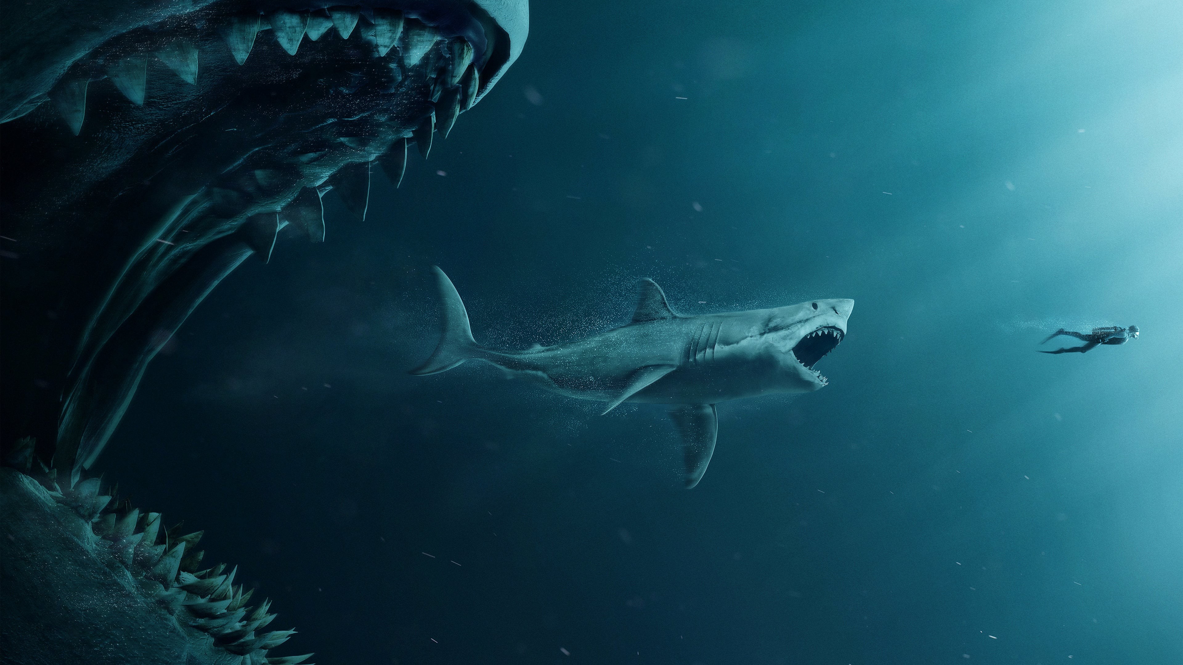 Shark Hd Wallpaper With White Shark Background, Picture Of The Megalodon  Background Image And Wallpaper for Free Download